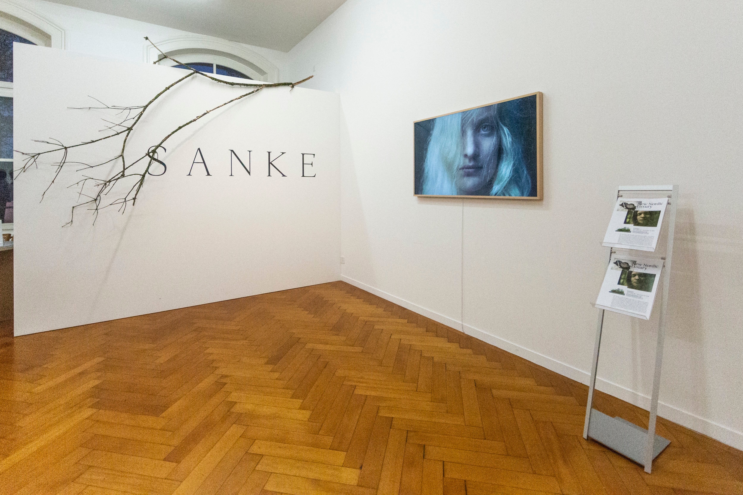 Installation Shot New Nordic Luxury by SANKE , Reflector gallery, Photo: Jolanda Pfrunder
