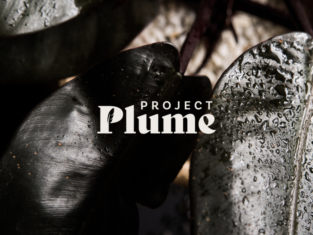 FB Cover.jpeg