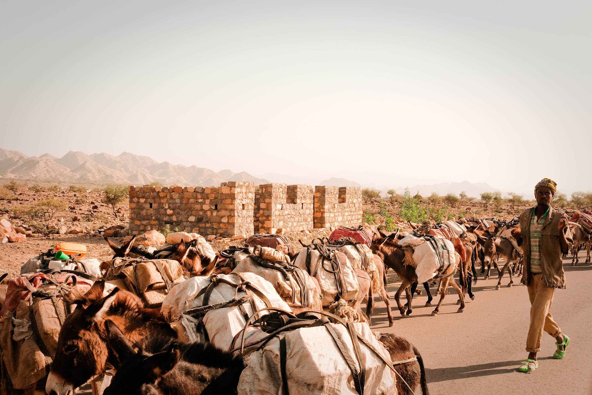 Ethiopia (104 sur 162).jpg