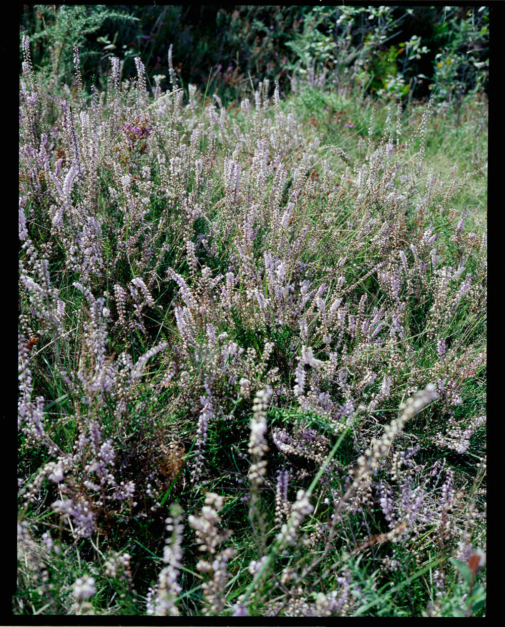 scan0069-instagram.jpg