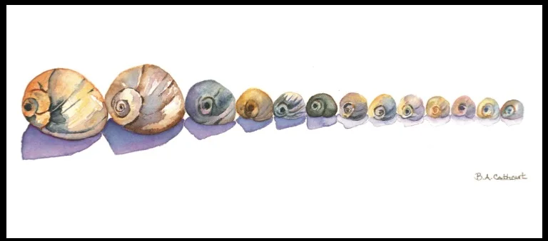 image3.jpeg