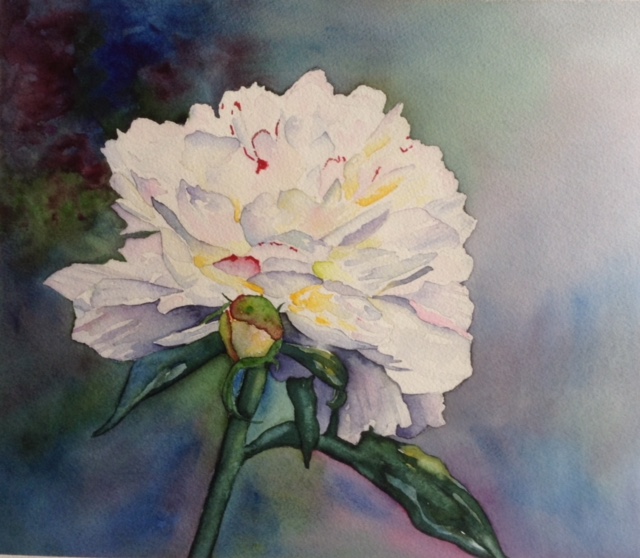 image6.jpeg