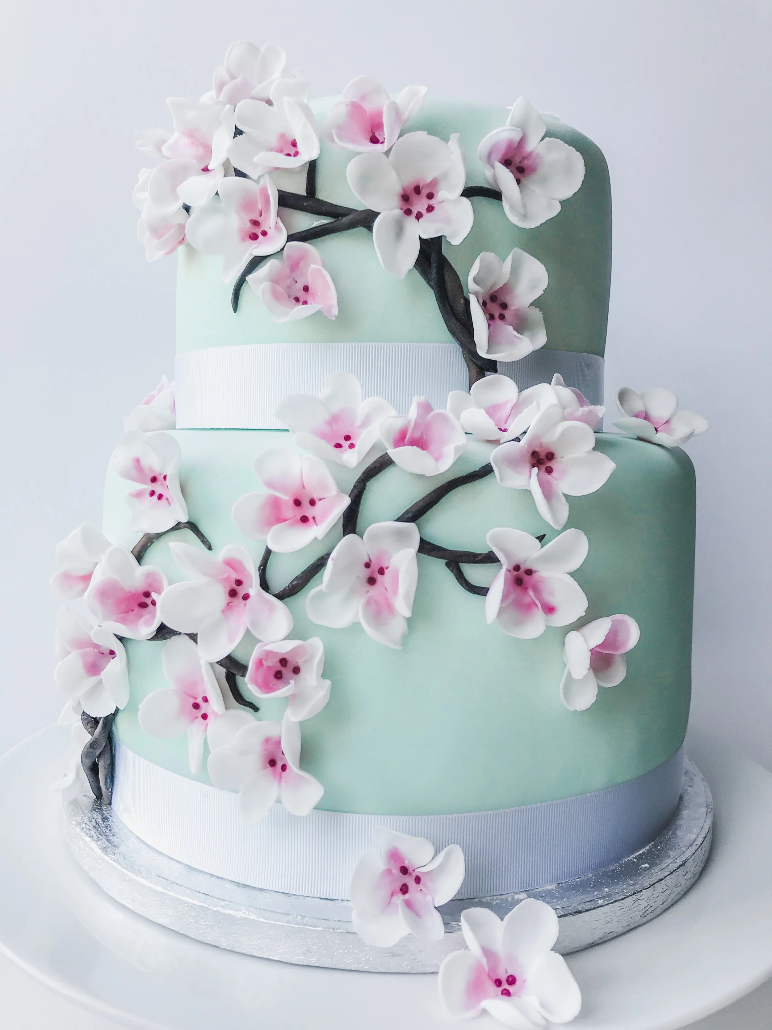 Cherry Blossom cake 