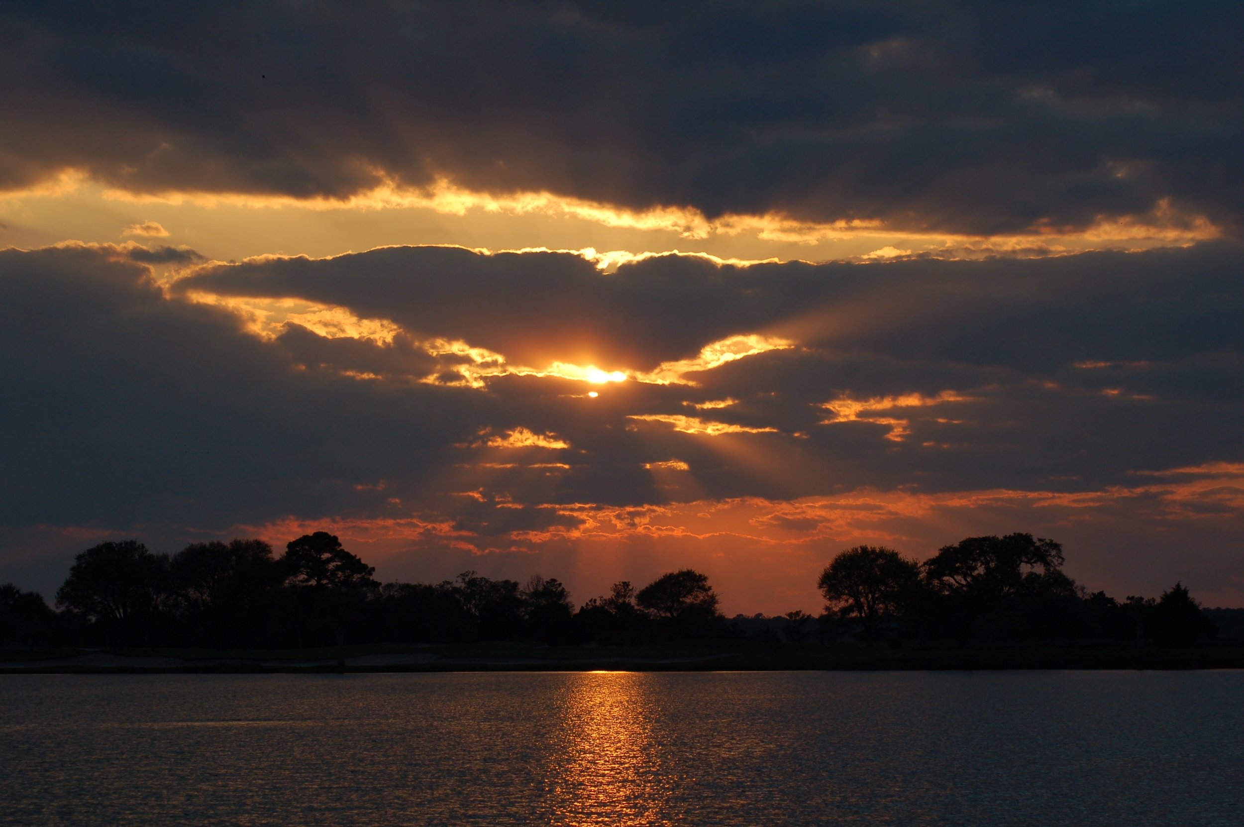 DSC_0050.jpg