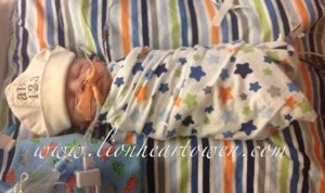 20130525-075439.jpg