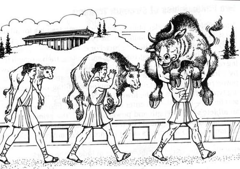 Milo’s Bull: thousands of years of exercise science distilled into one ancient tale. Work within your means to promote consistency and surpass your expectations.