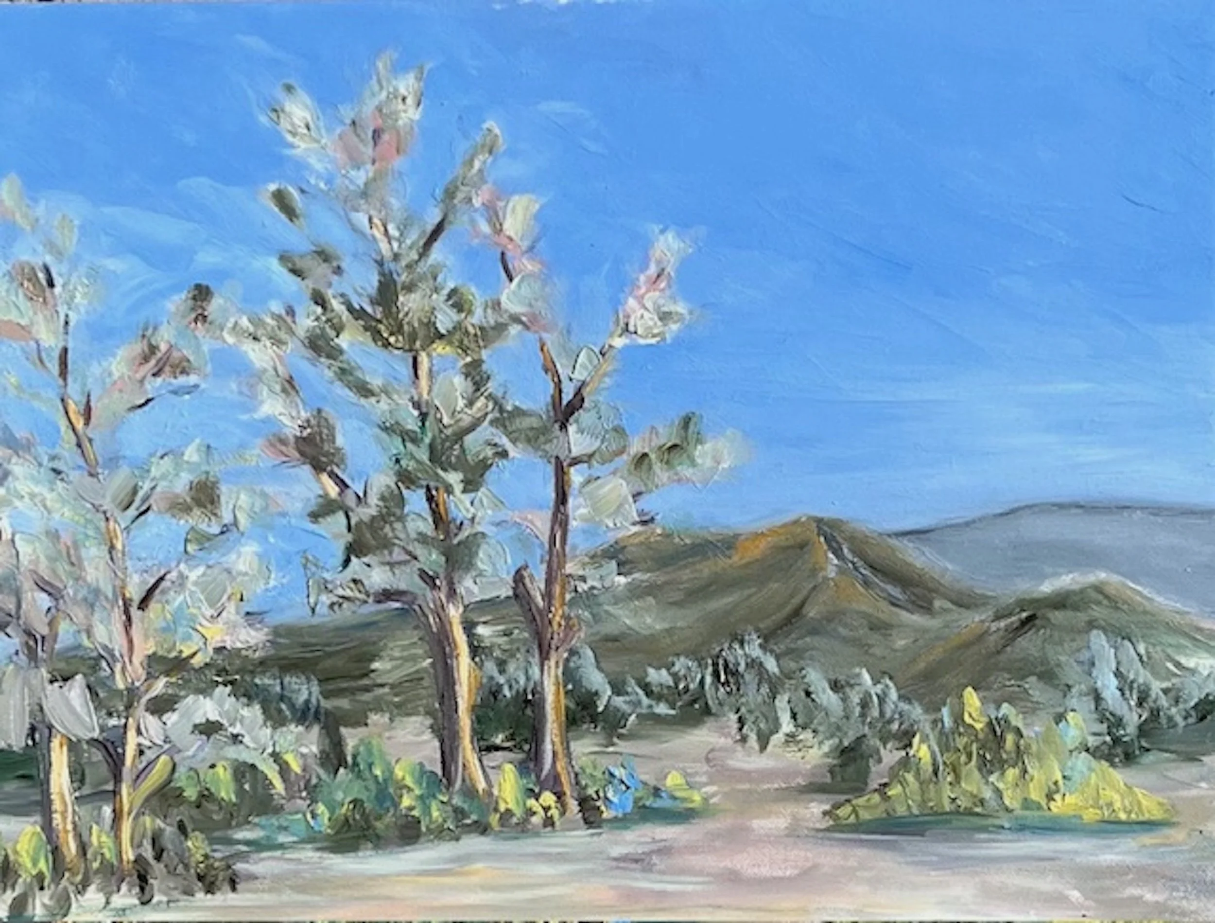 Ortiz Mountain Scene