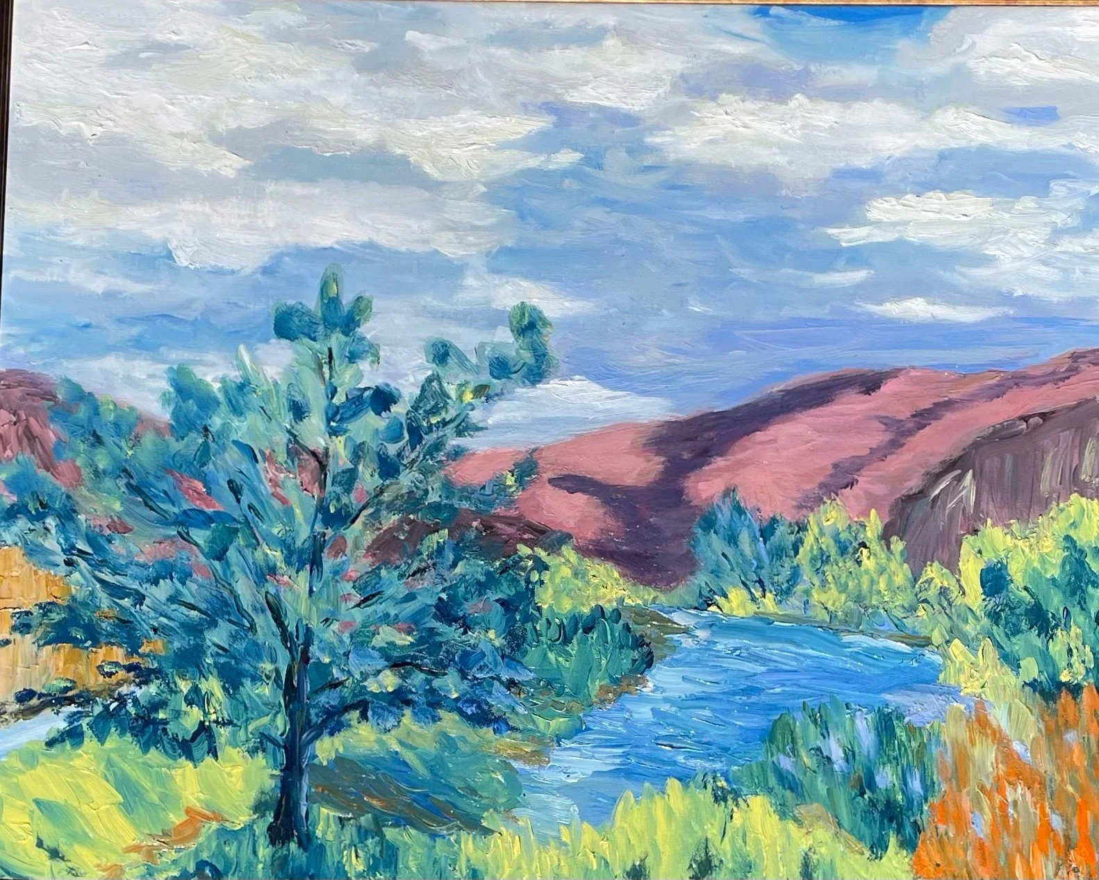 Rio Grande South of Taos, NM