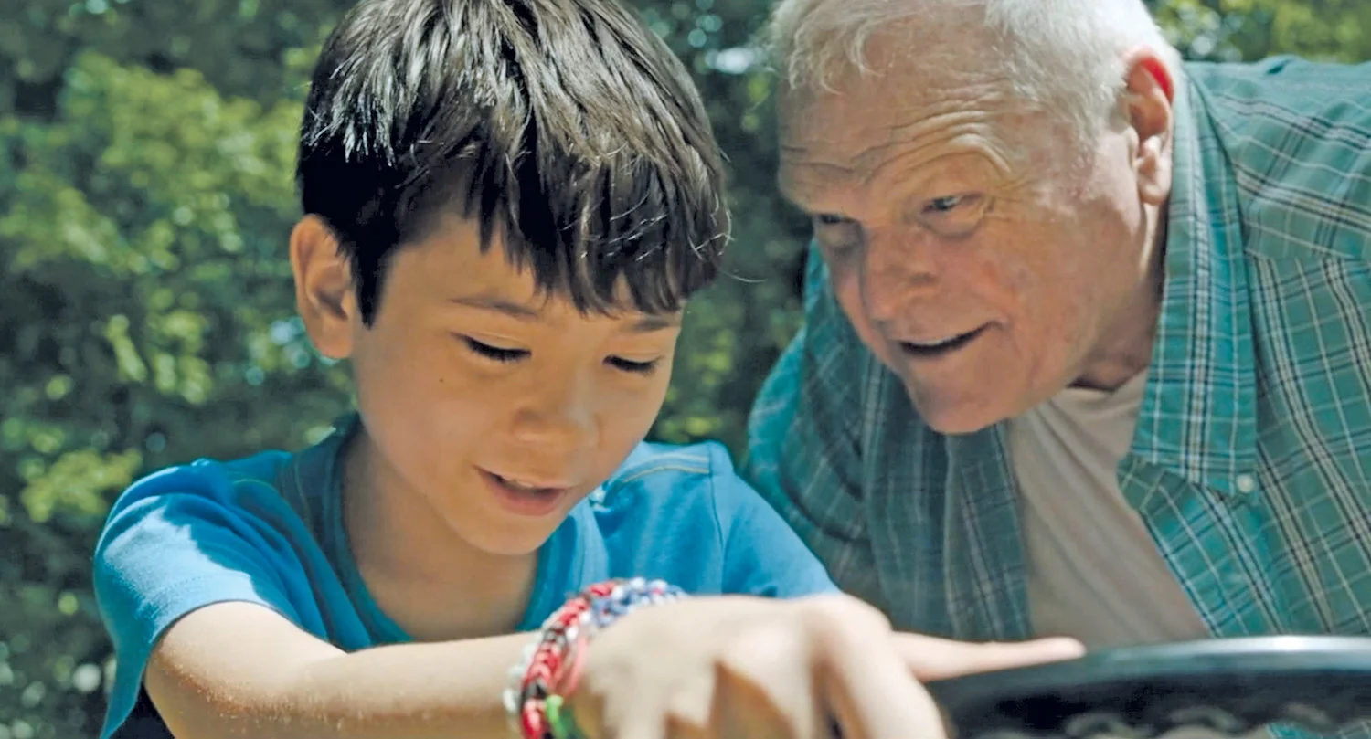 DRIVEWAYS: One of the Most Moving Films of the Year