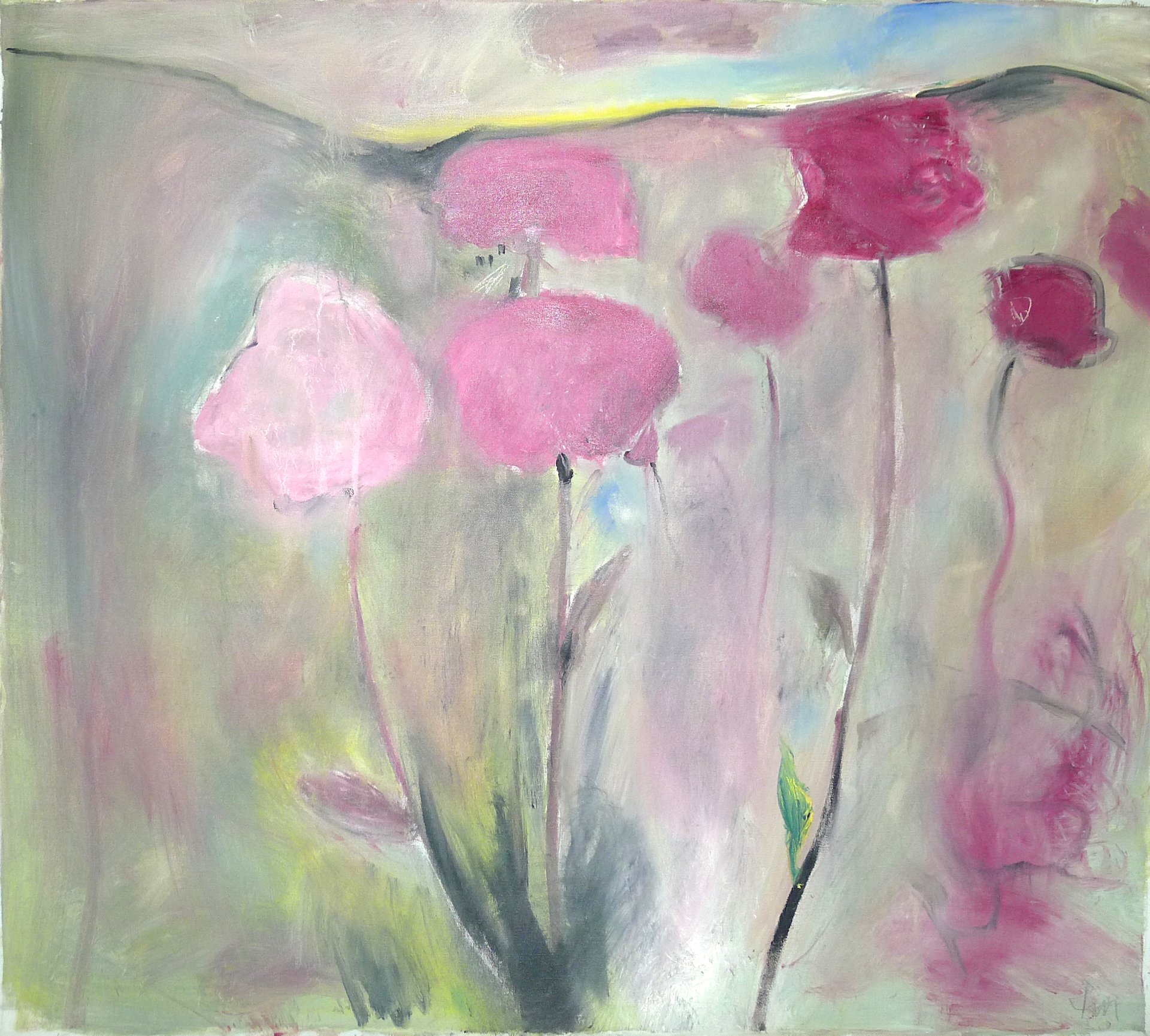 Flower Field