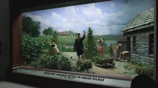 The New Normal - A Short by Spike Jonze - MedMen