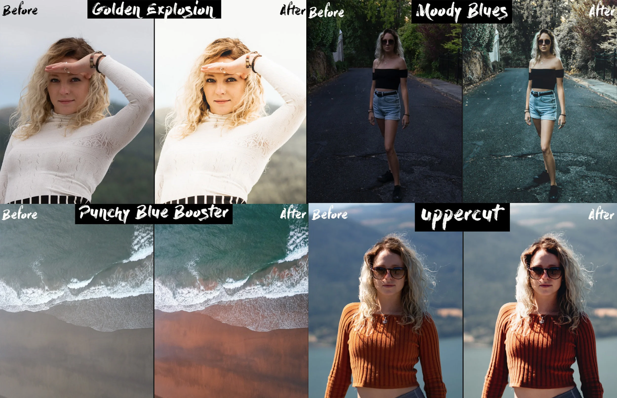 Dahlhouse LR Presets (4)