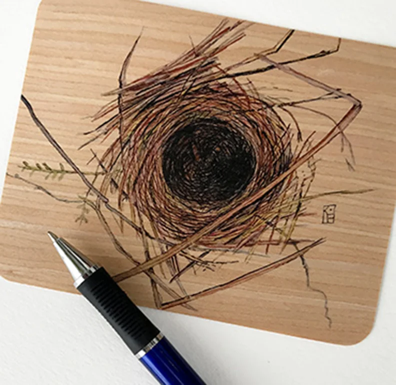 Empty Nest Postcard
