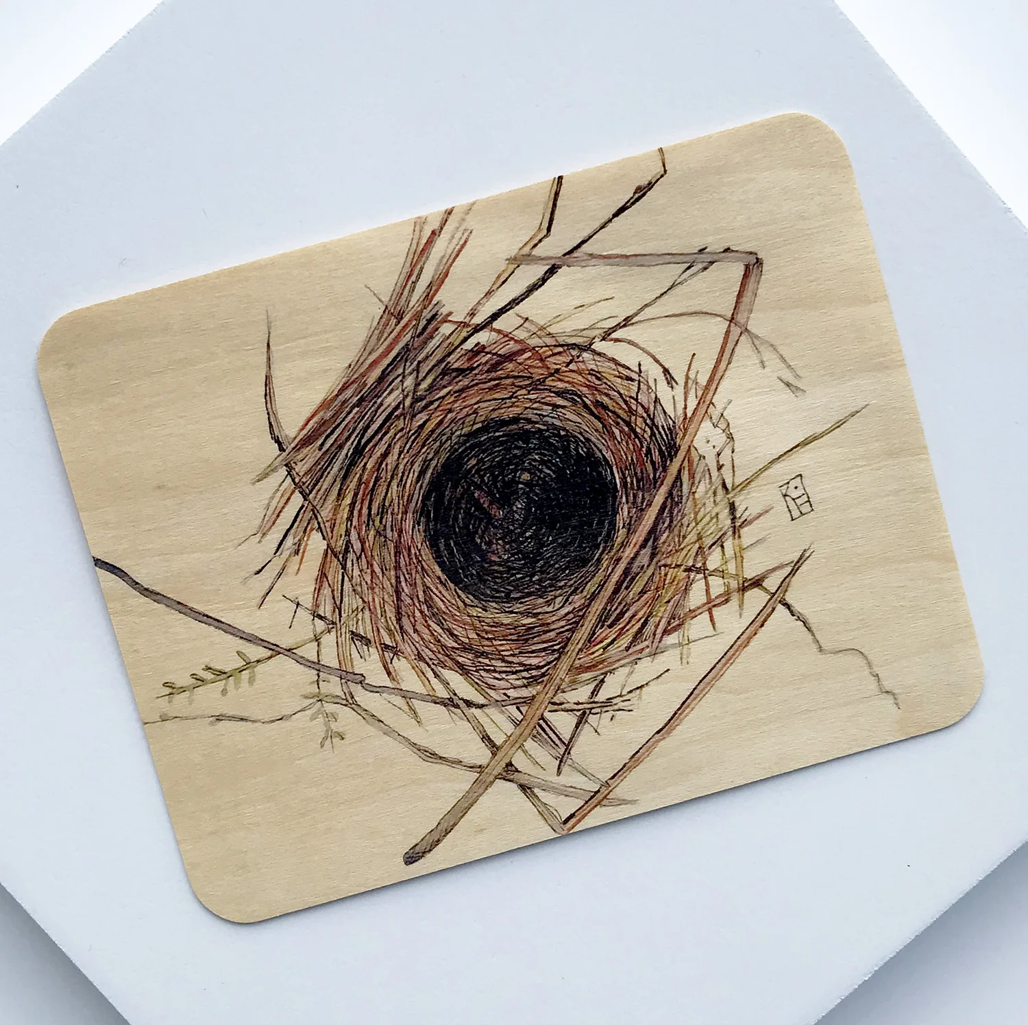 Empty Nest Postcard