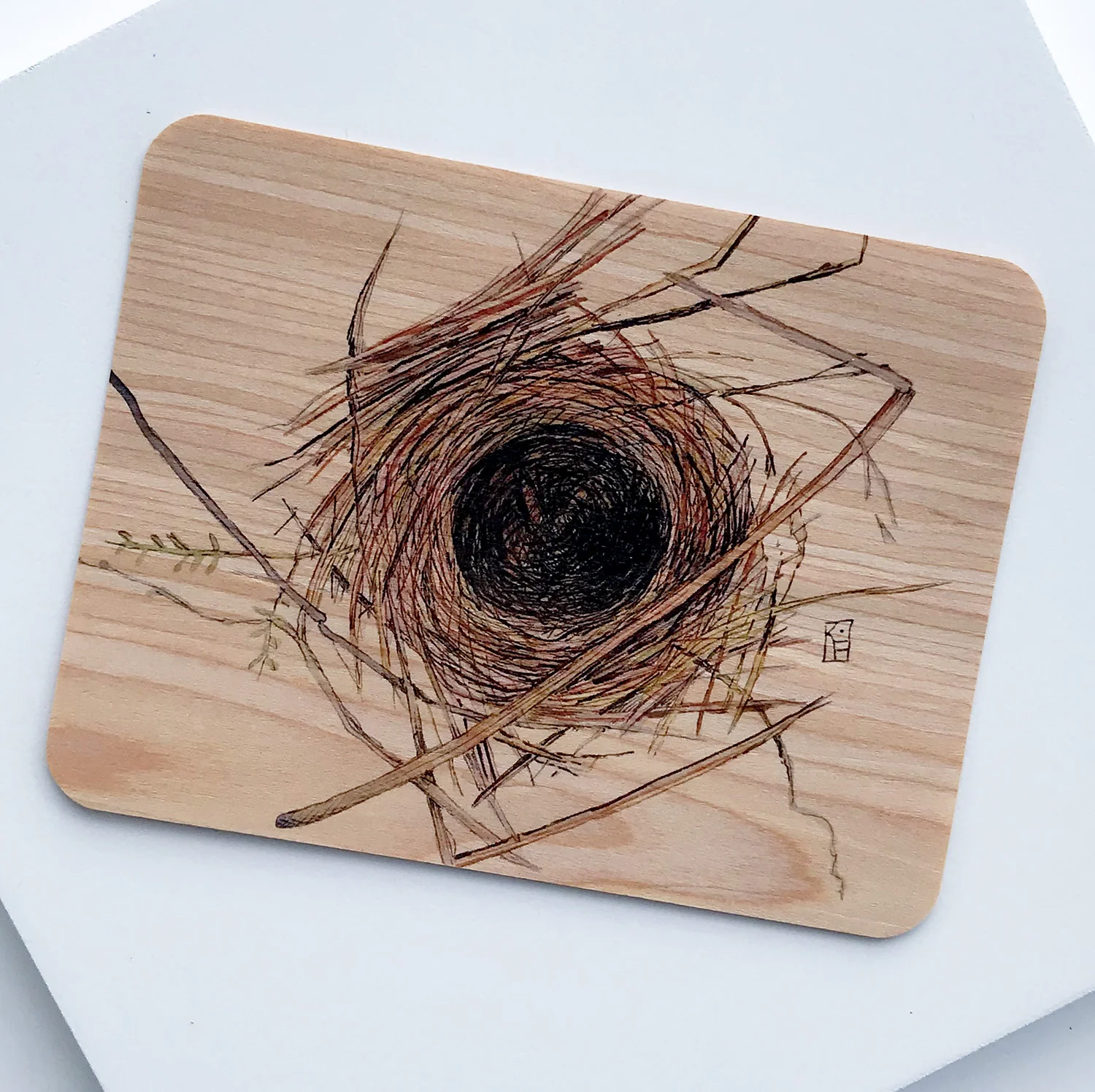 emptynestpostcardcedar.jpg