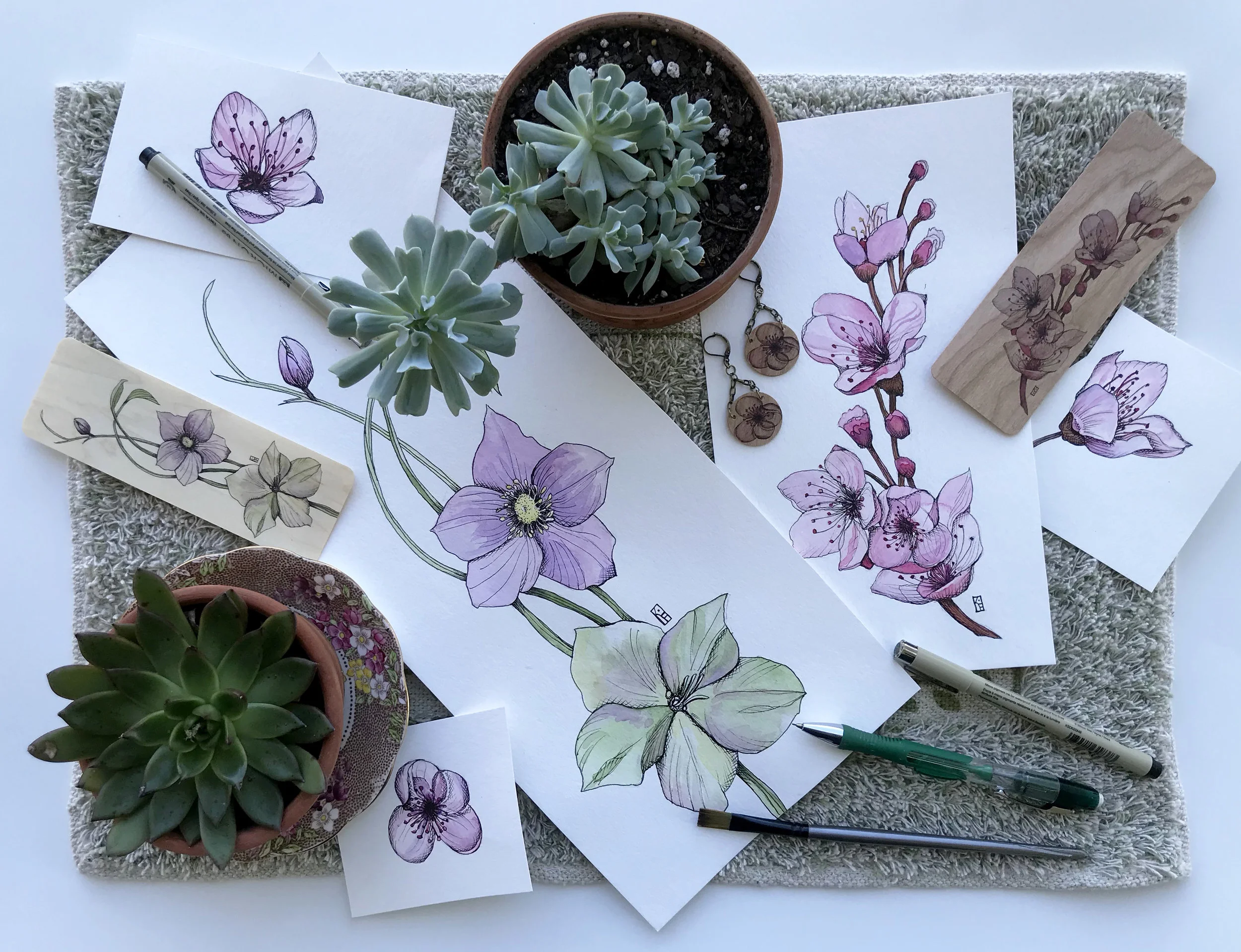 floralwondercover.jpg