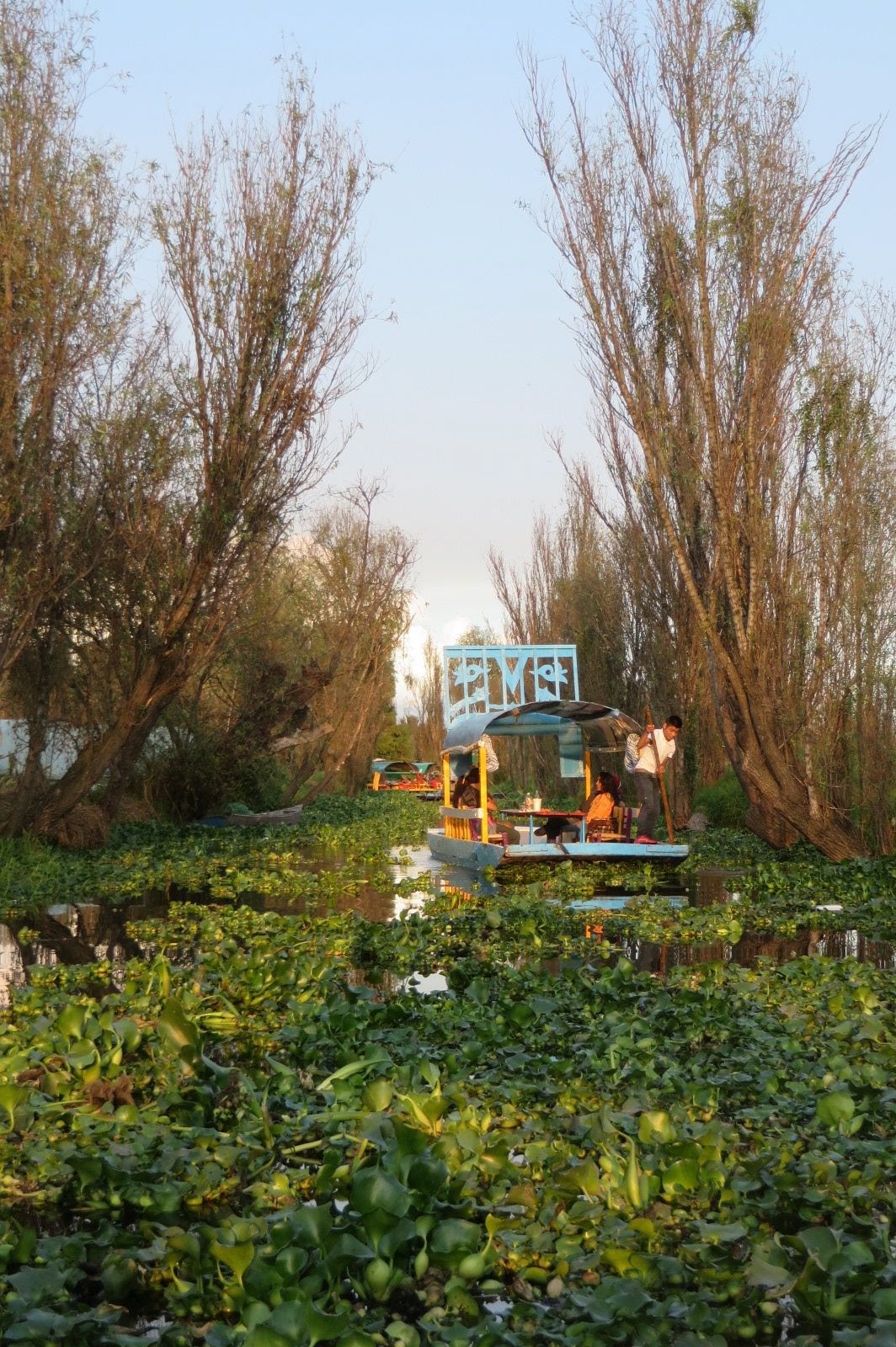 xochimilco_canal.jpg