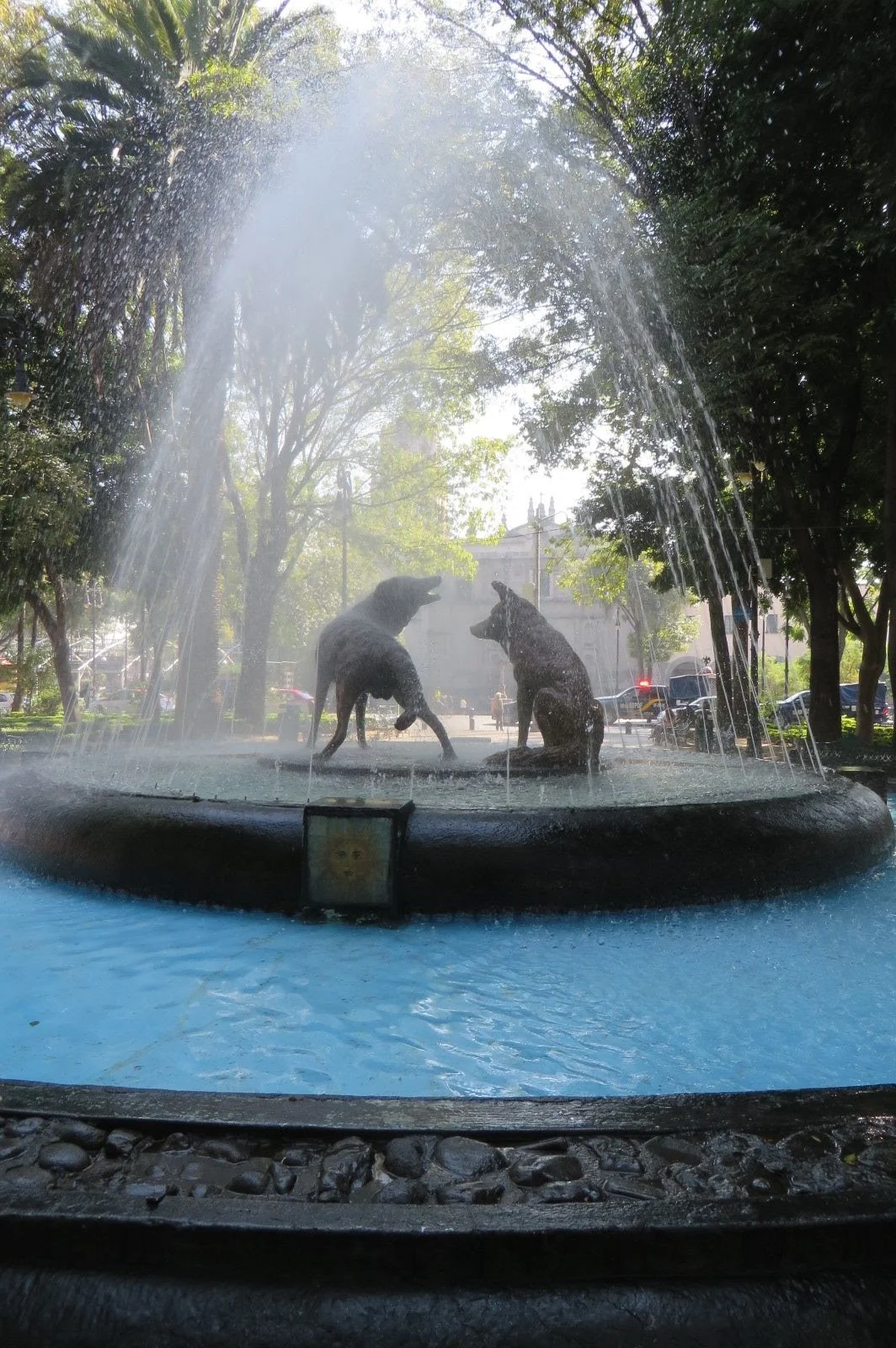 Coyoacan means ‘Place of the Coyotes’ in Nahuatl, an Indigenous dialect.
