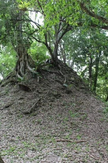 Look! There’s a pyramid under there!!