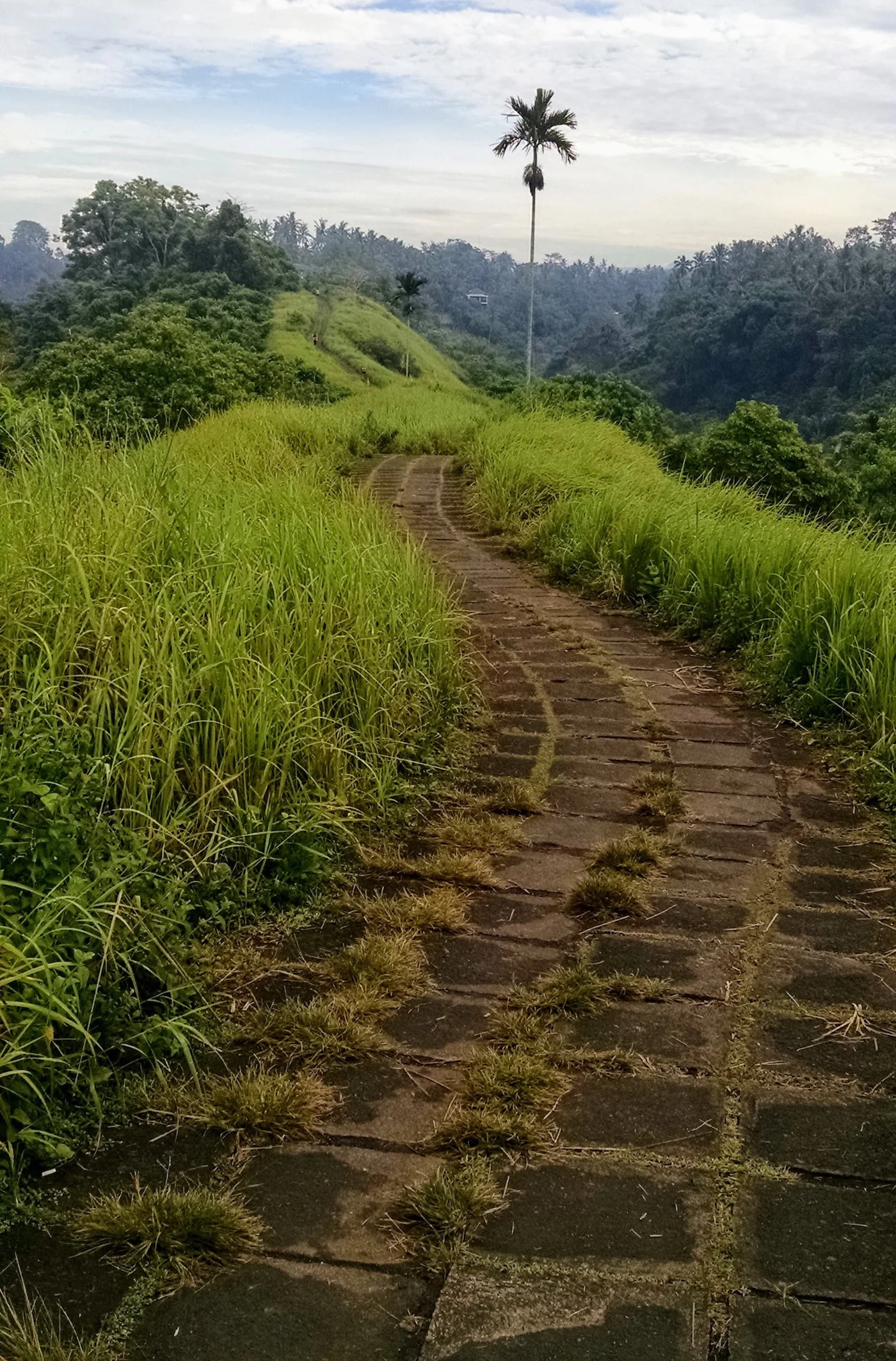Ridge walk, mid-morning