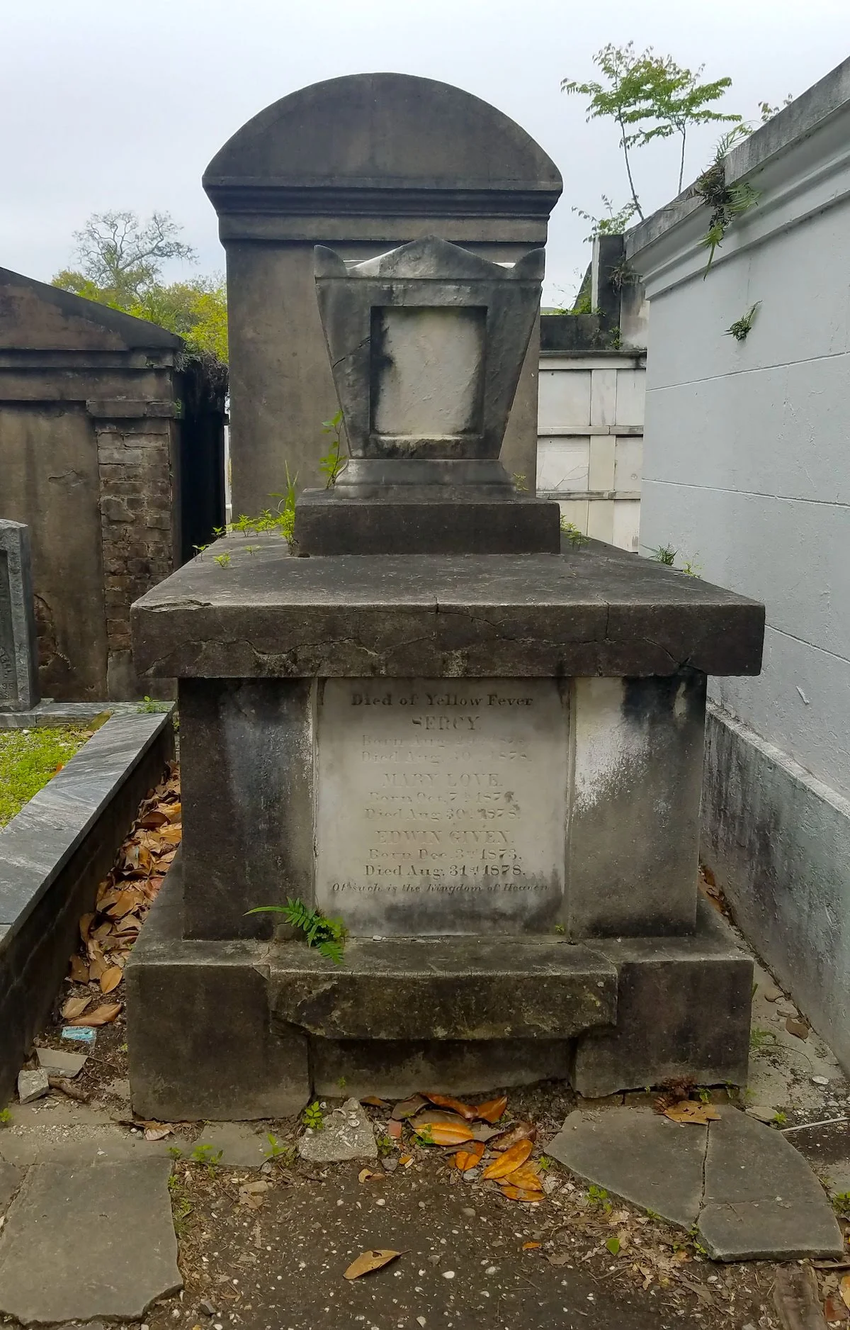lafayette_cemtery_new_orleans.jpg