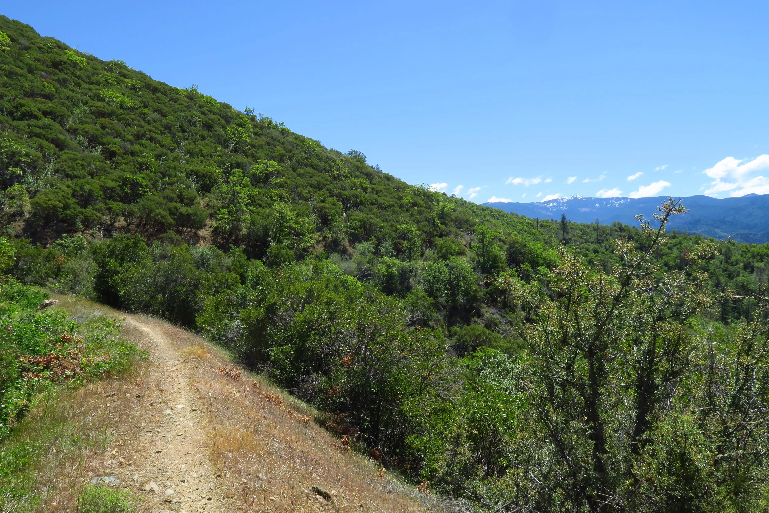 The Sterling Mine ditch Trail spans ~25 miles.