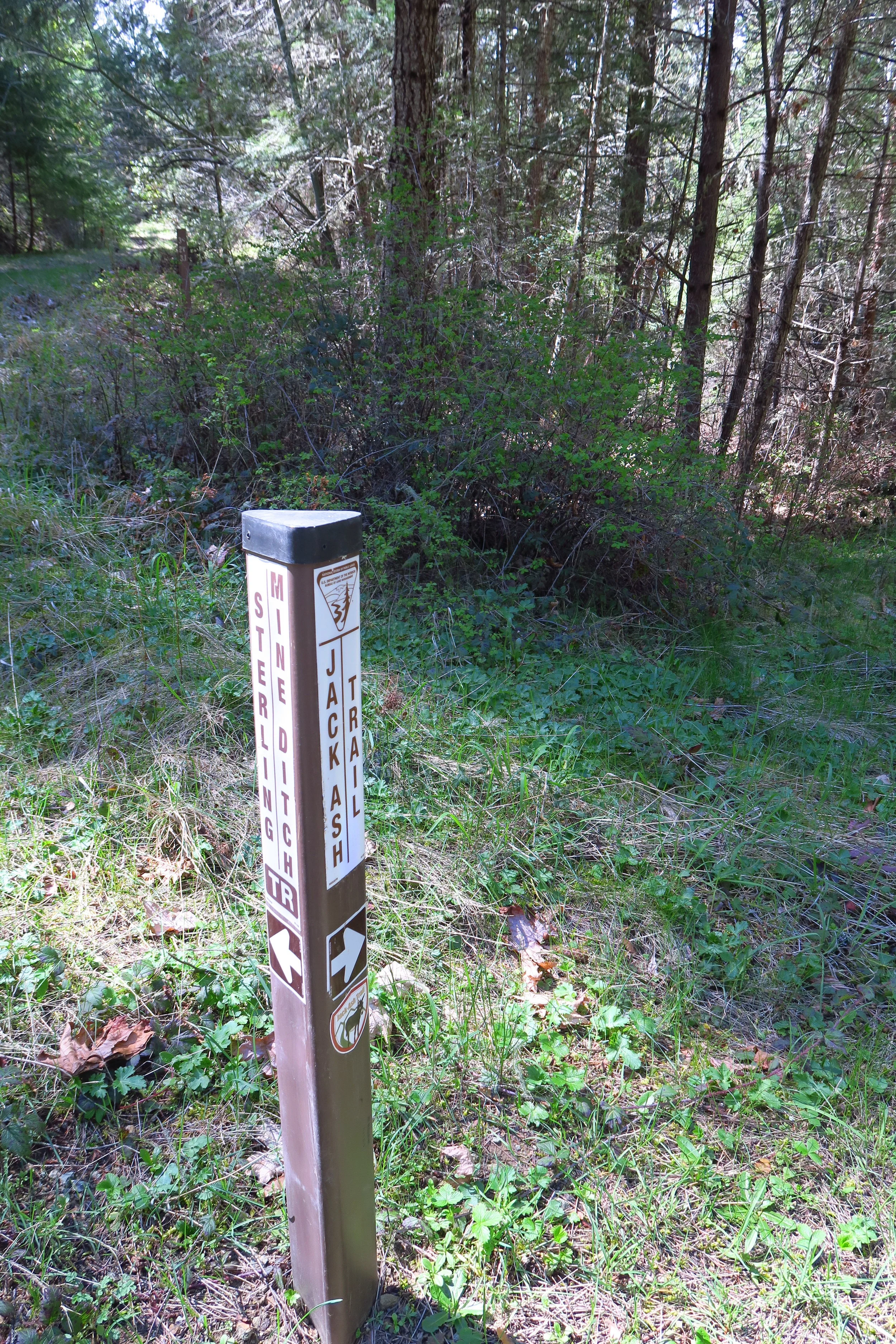 This trail marker is where the two routes diverge, the long route turns left to the SMDT and the short route goes right to continue on the Jack Ash.