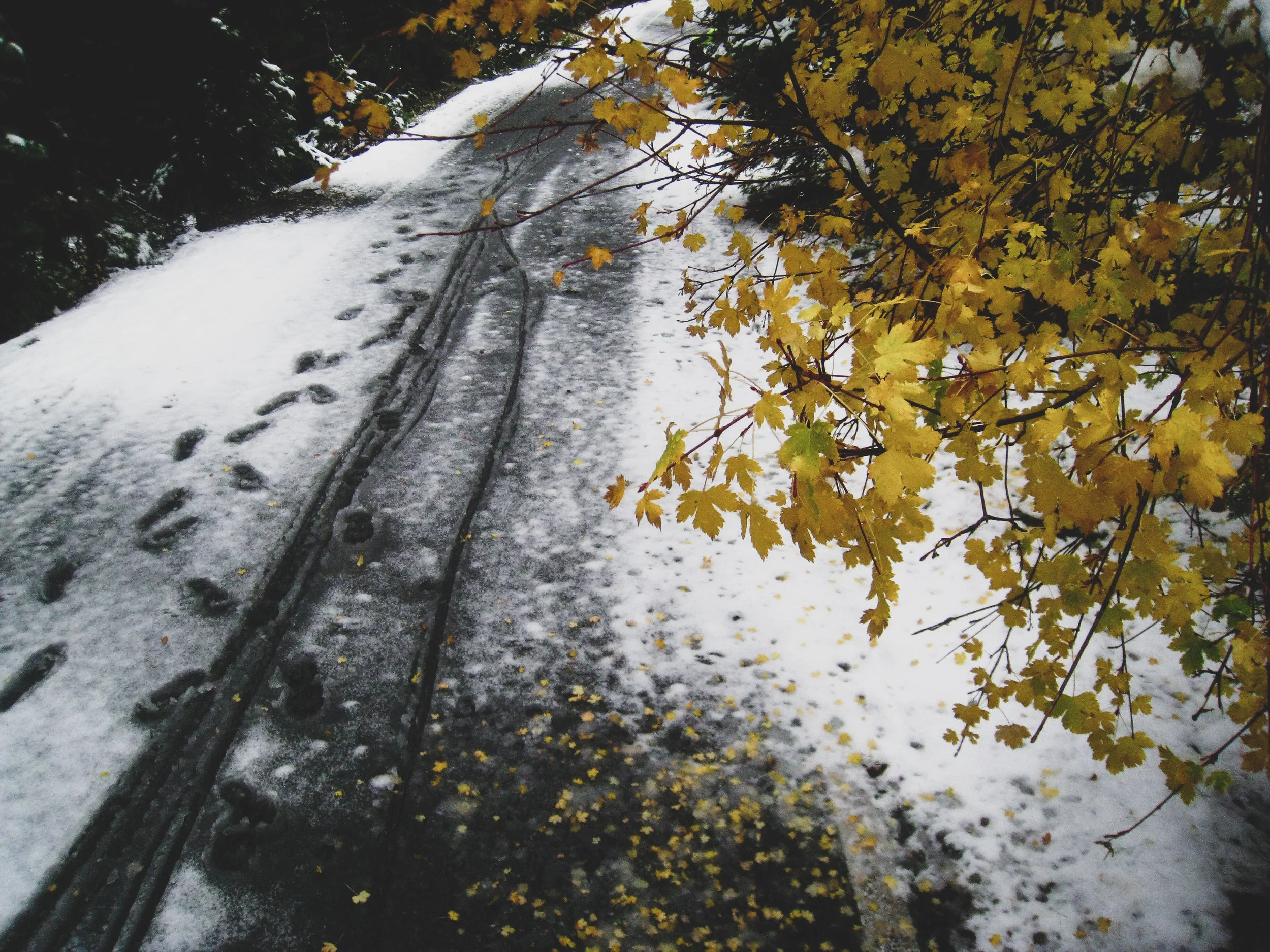 Our ride that was cut short due to snow in mid October.