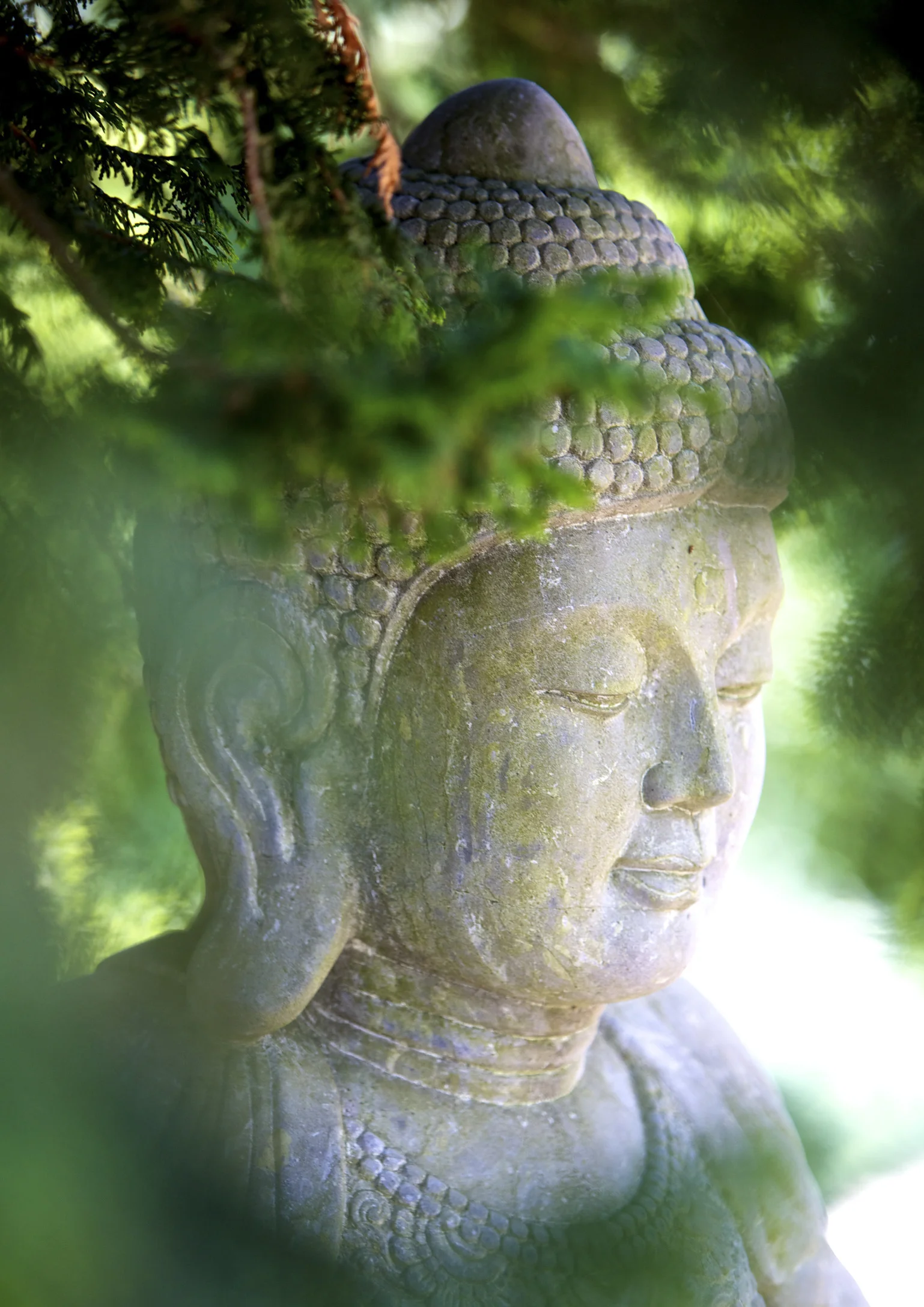MM Buddha.jpg