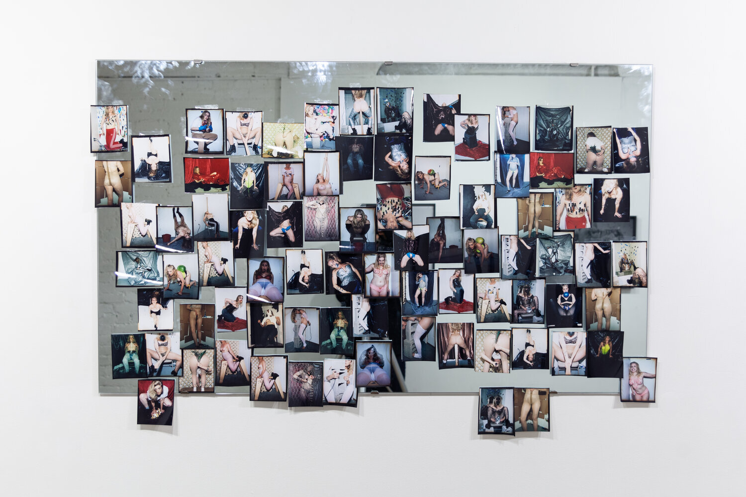  Installation view, Whitney Hubbs,  Animal, Hole, Selfie , SITUATIONS, 2020 