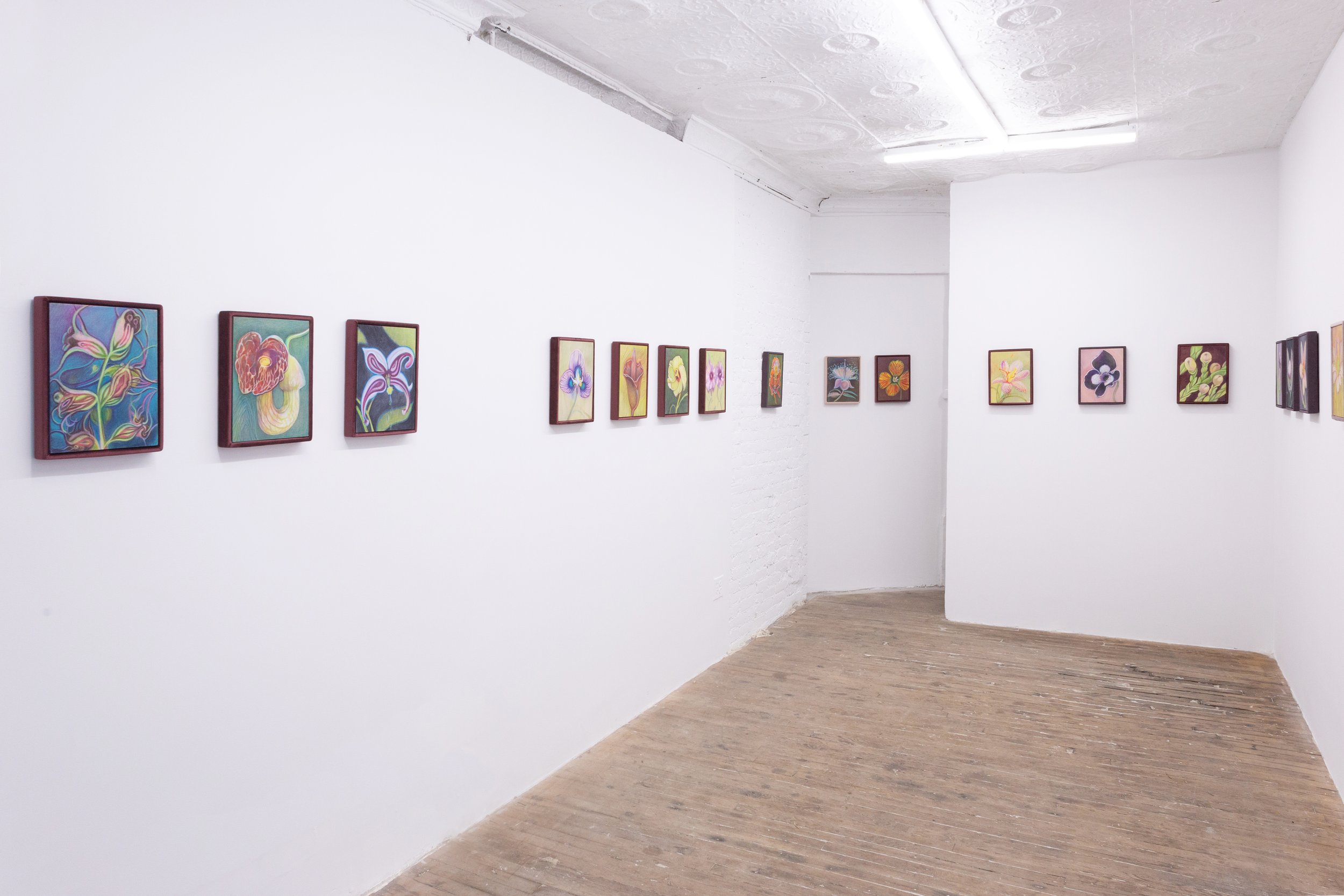  Installation view: Alina Bliumis,  Plant Parenthood , SITUATIONS, New York, 2023 