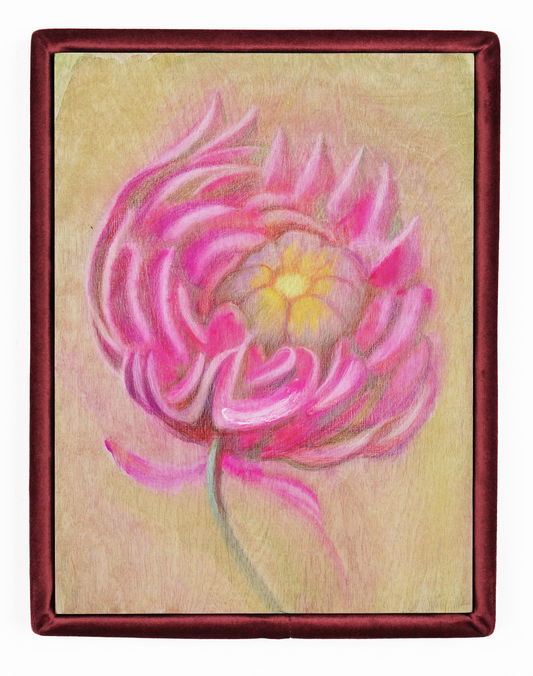  Alina Bliumis  Plant Parenthood, Chrysanthemum , 2023 Watercolor, watercolor pencil on wood panel, artist’s velvet frame 13.5 x 10.5 x 1.5 inches 