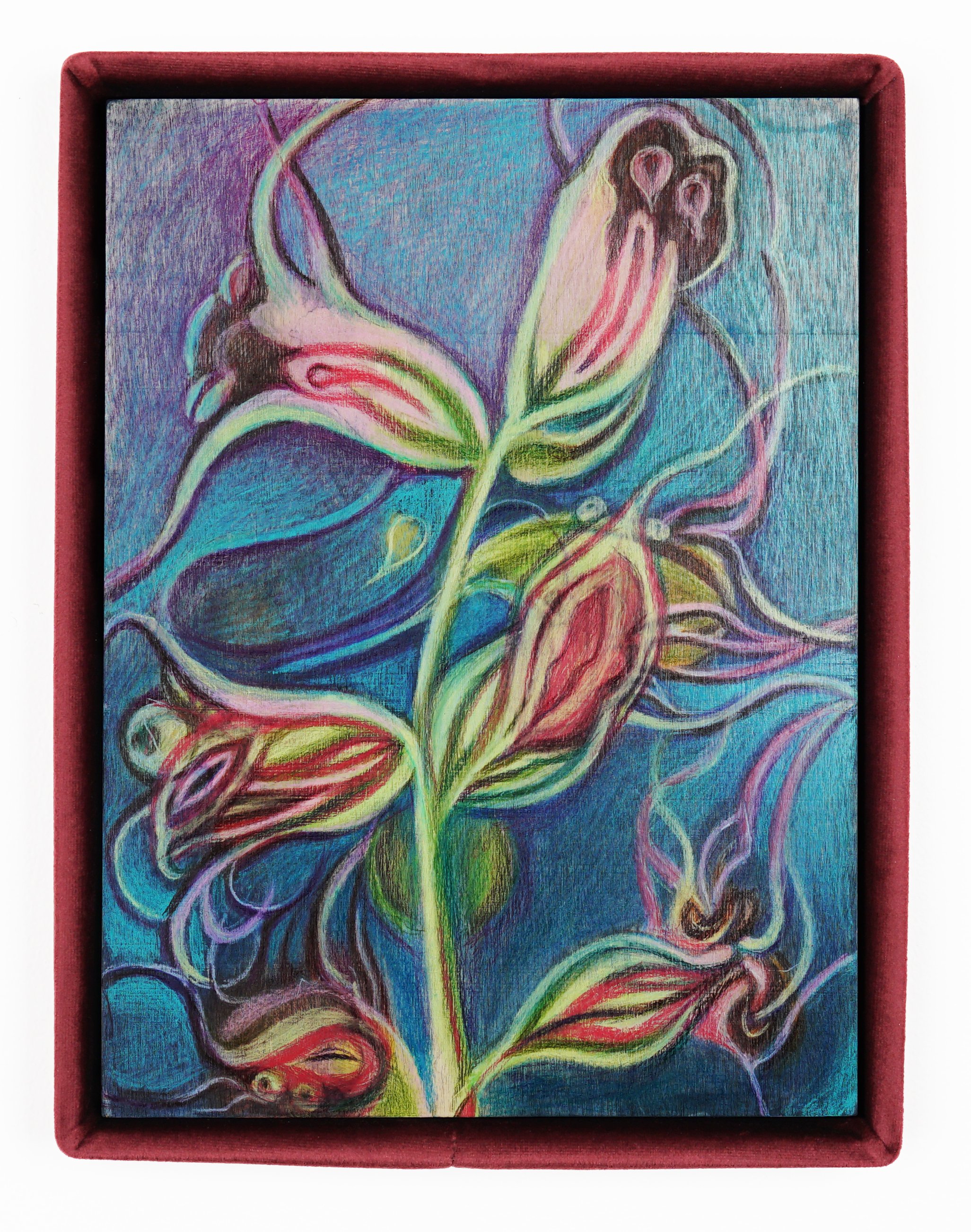  Alina Bliumis  Plant Parenthood, Mugwort , 2023 Watercolor, watercolor pencil on wood panel, artist’s velvet frame 13.5 x 10.5 x 1.5 inches 