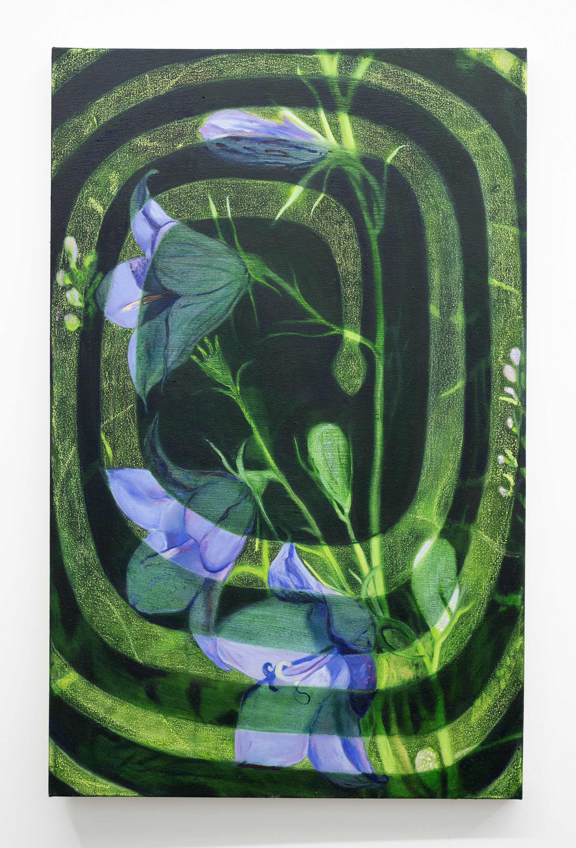 Delaney Lee, Deep Spring, 2022, Oil paint and oil pastel on canvas,  26.5 x 41.5 inches.