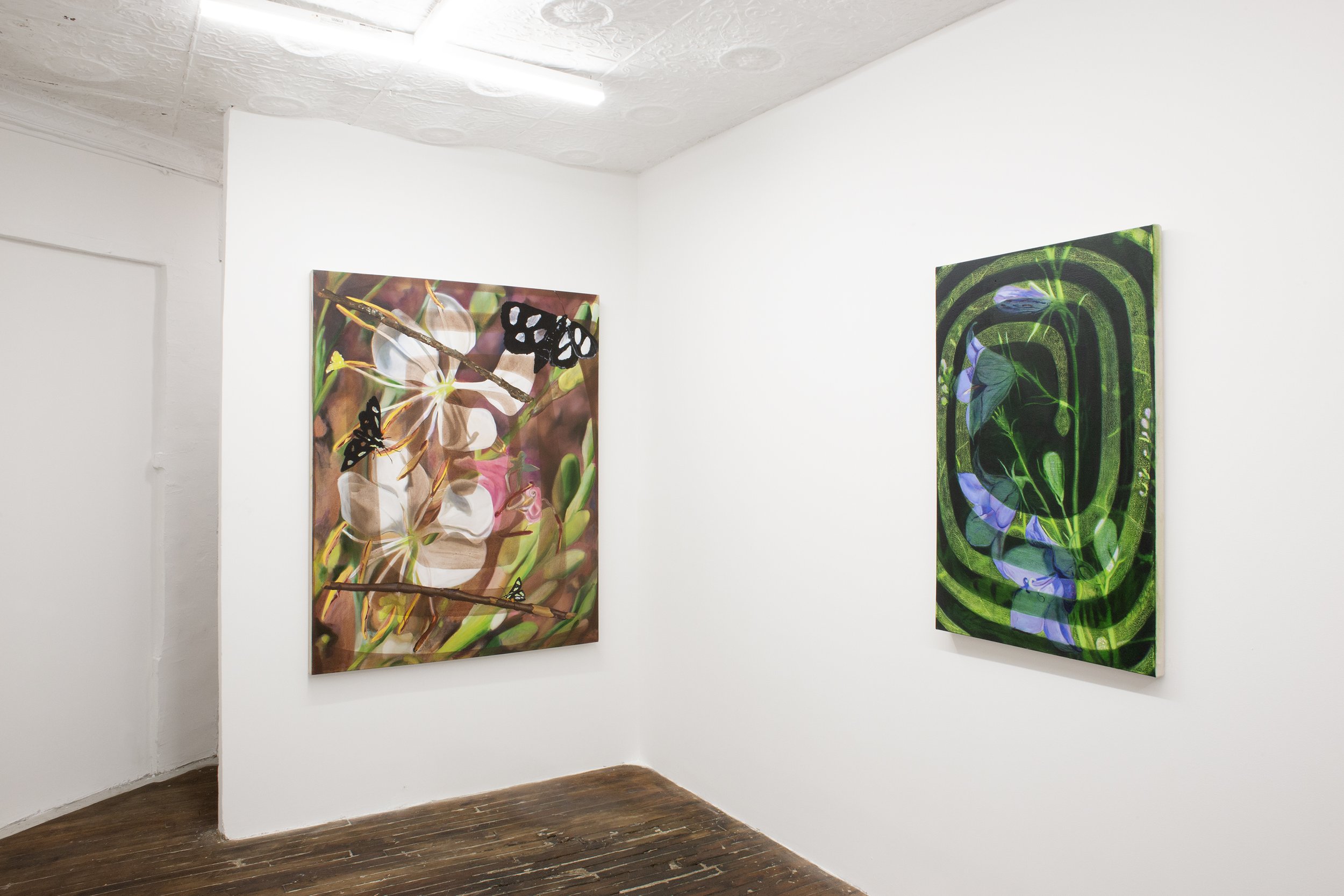  Installation view, Delaney Lee: Silent Spring, SITUATIONS, NY, 2023. 