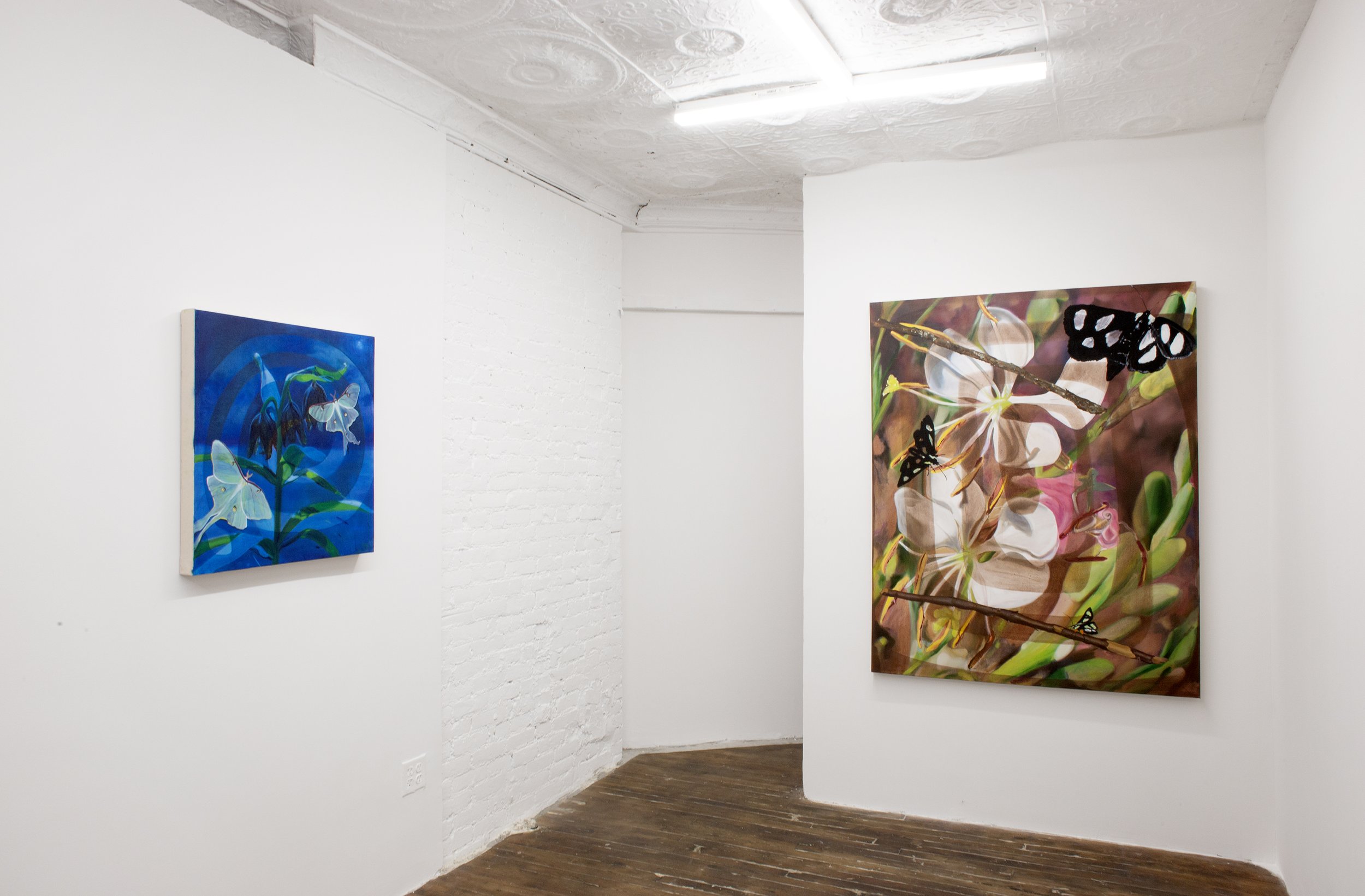  Installation view, Delaney Lee: Silent Spring, SITUATIONS, NY, 2023. 