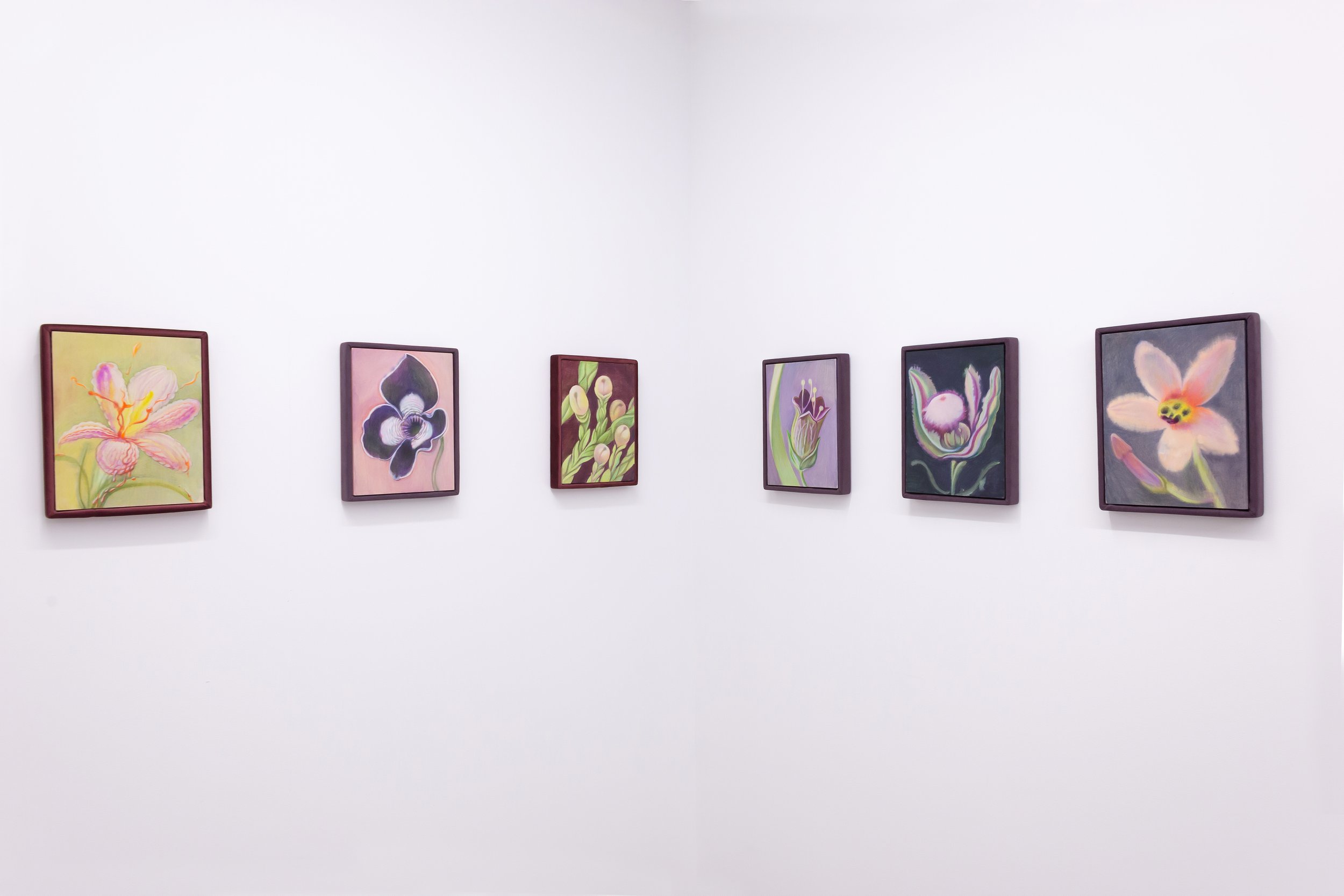 Installation view: Alina Bliumis, Plant Parenthood, SITUATIONS, New York, 2023