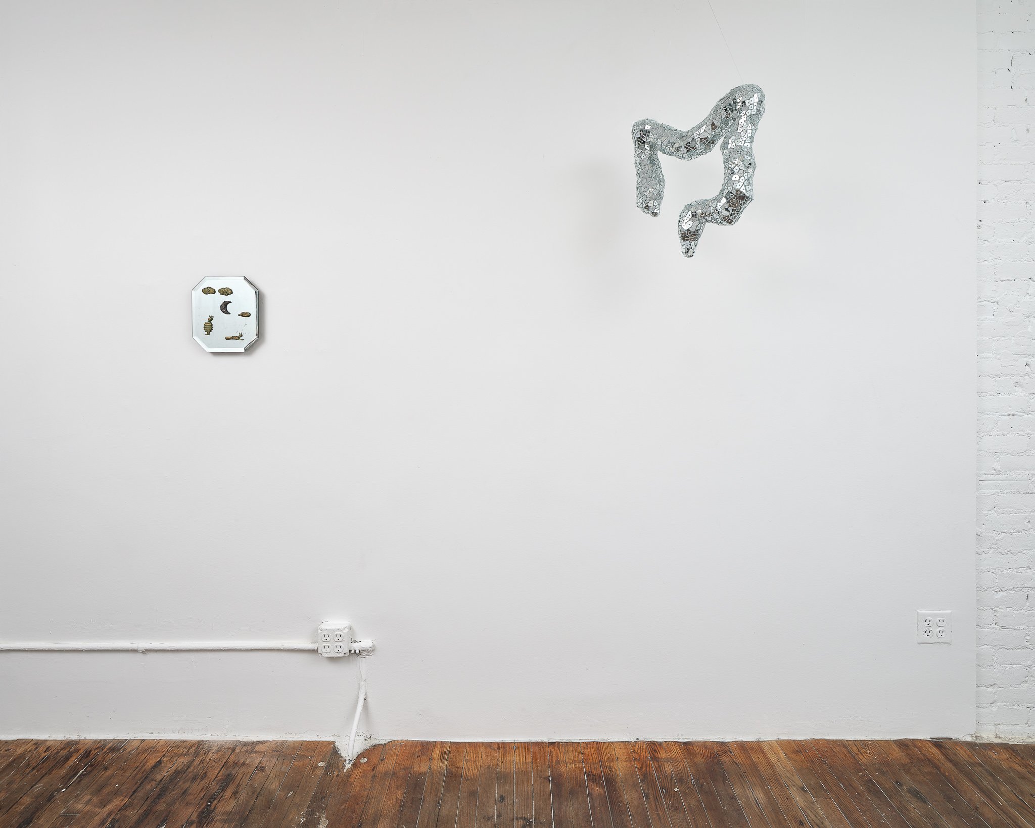 Installation view, Andrés Bedoya: One of My FIngers is a Snake, SITUATIONS Henry Street, New York, 2024. Photo: Justin Craun. (Copy)