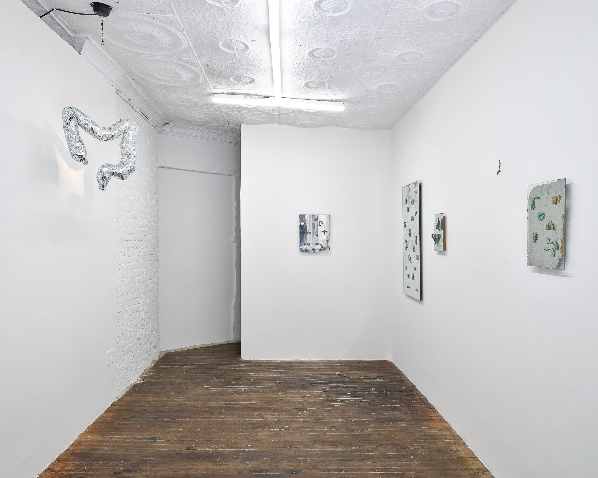 Installation view, Andrés Bedoya: One of My FIngers is a Snake, SITUATIONS Henry Street, New York, 2024. Photo: Justin Craun. (Copy)
