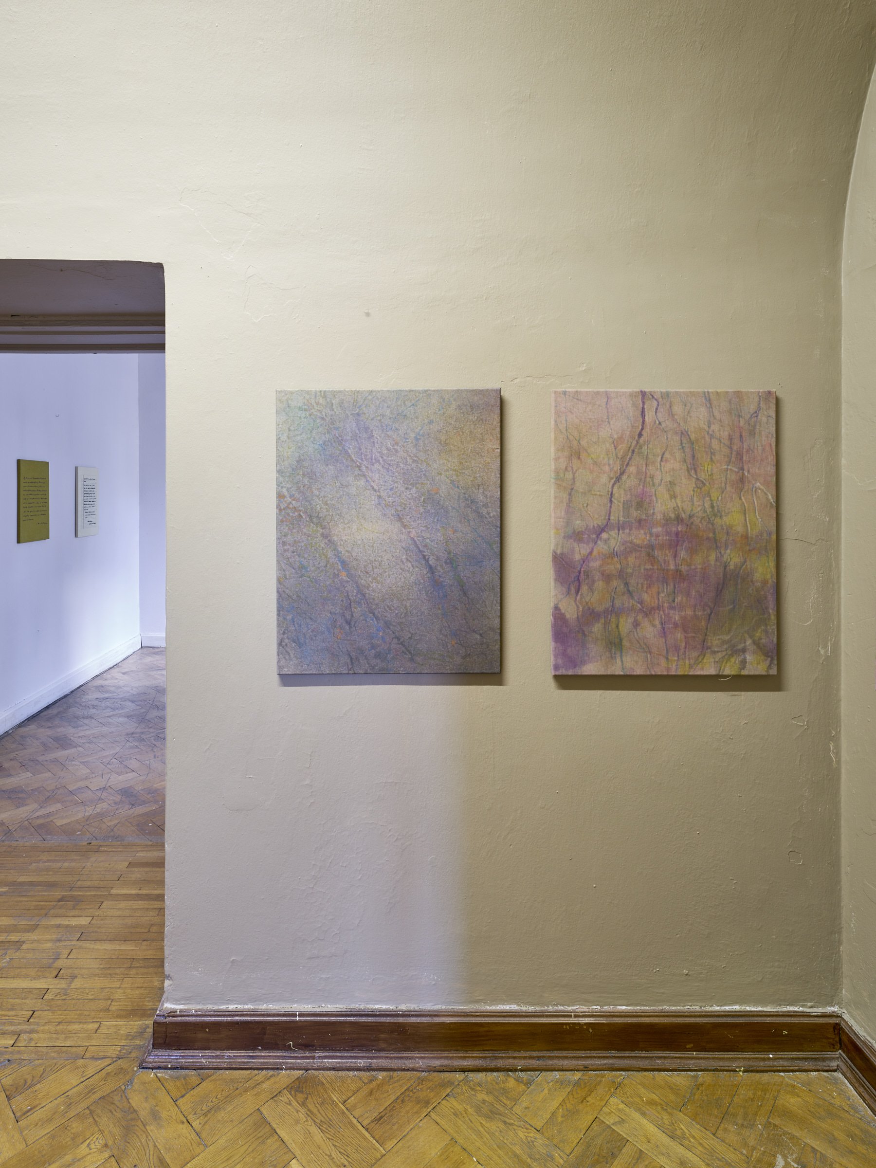 Installation view, Alina Bliumis: Bruises / Siniaki , SITUATIONS at NADA Villa Warsaw, 2025. Photo: Blazej Pindor.