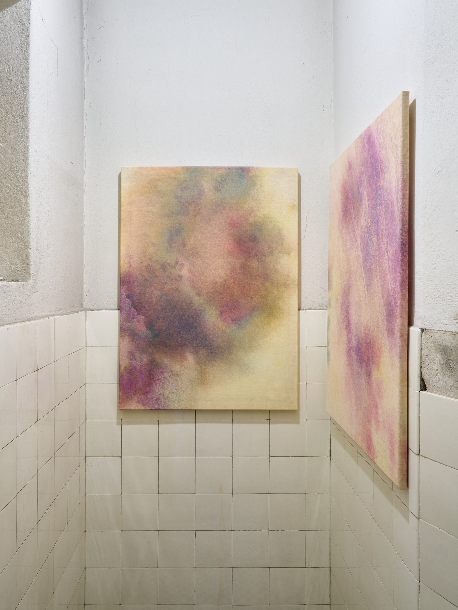 Installation view, Alina Bliumis: Bruises / Siniaki , SITUATIONS at NADA Villa Warsaw, 2025. Photo: Blazej Pindor.