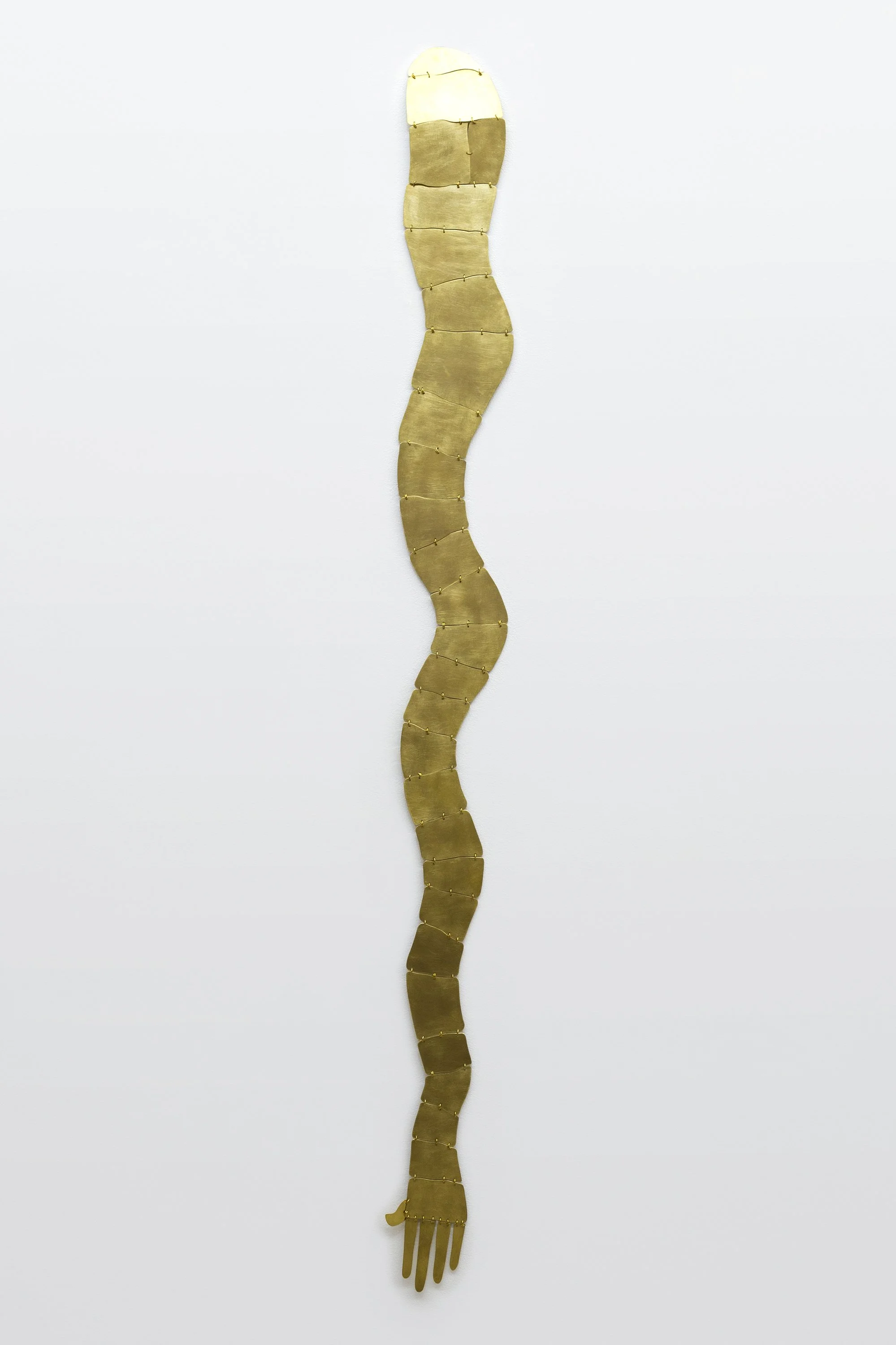  Andrés Bedoya  Brazo II , 2025 Brass plate, brass wire 60 x 8 inches 
