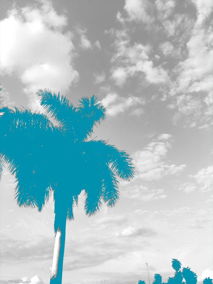 final_palm_blue.jpg