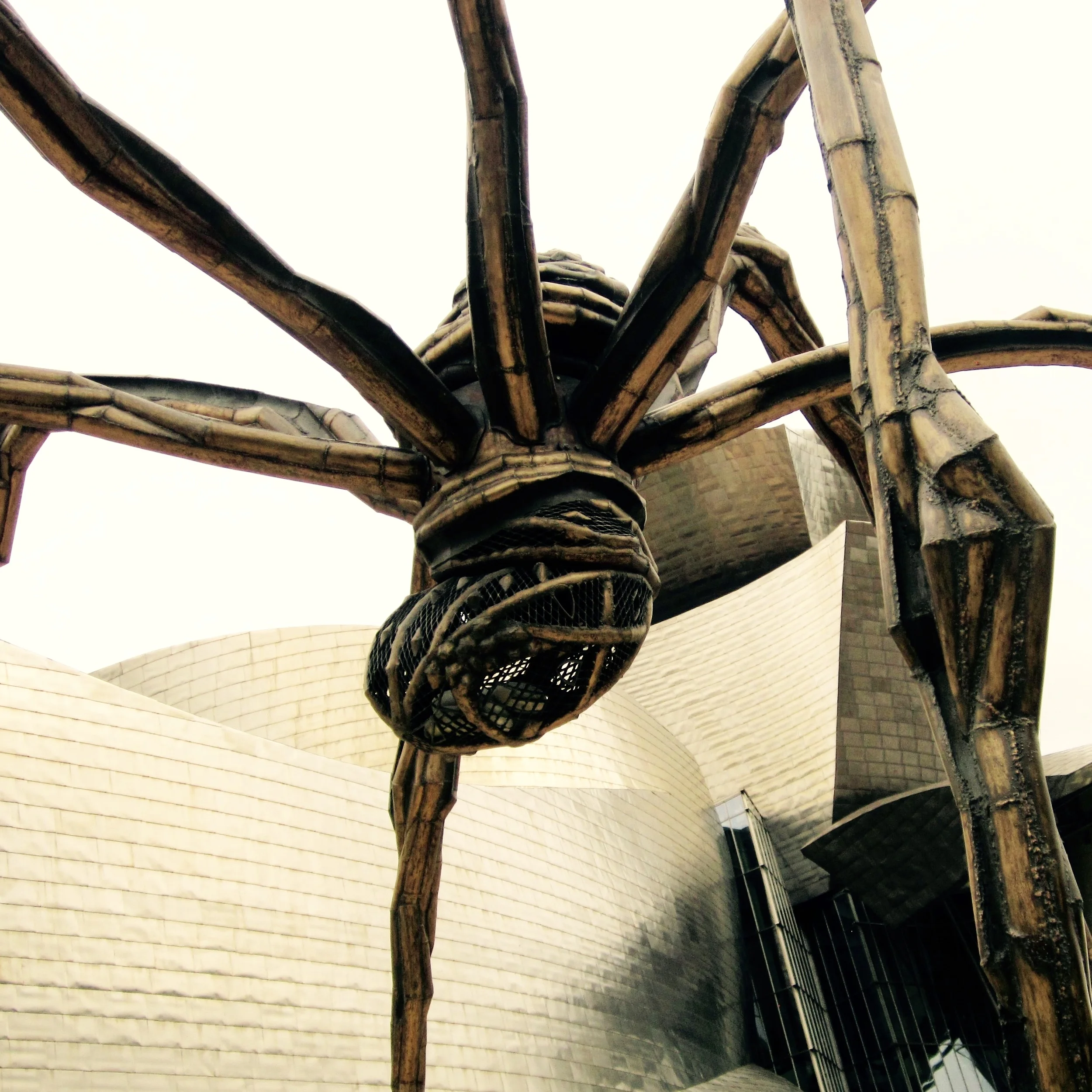 bourgeois spider