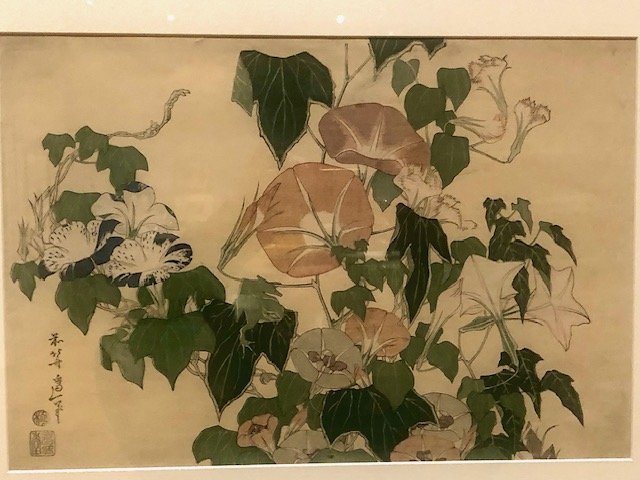 Morning Glories and Tree Frog, 1833-4