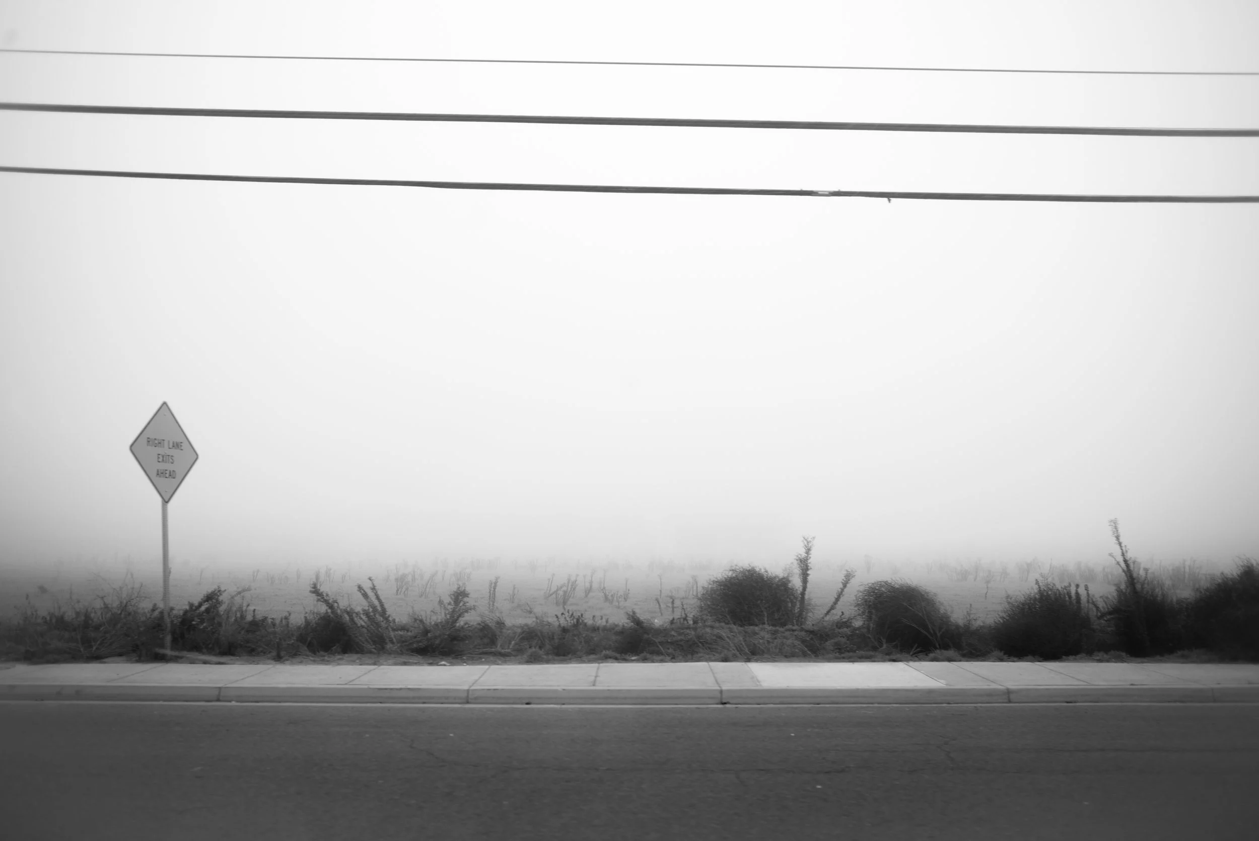 L1000174.jpg