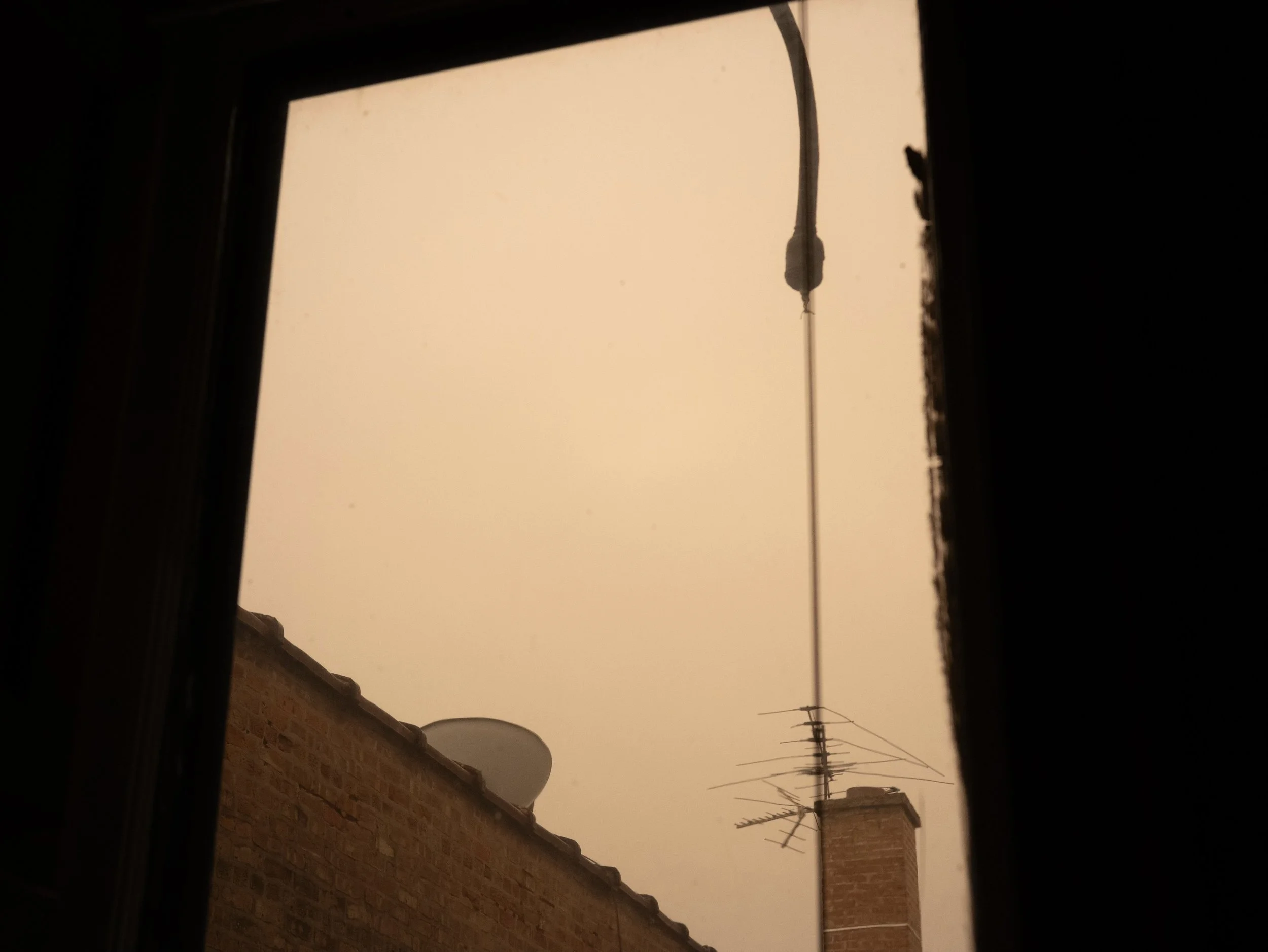 P1064912.jpeg