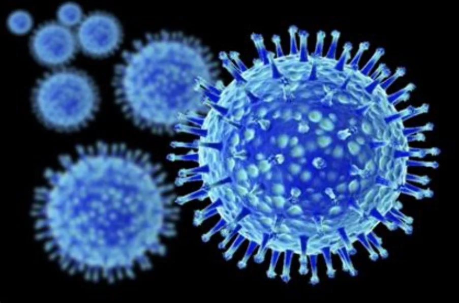 flu_virus_image_at_DuckDuckGo.jpg