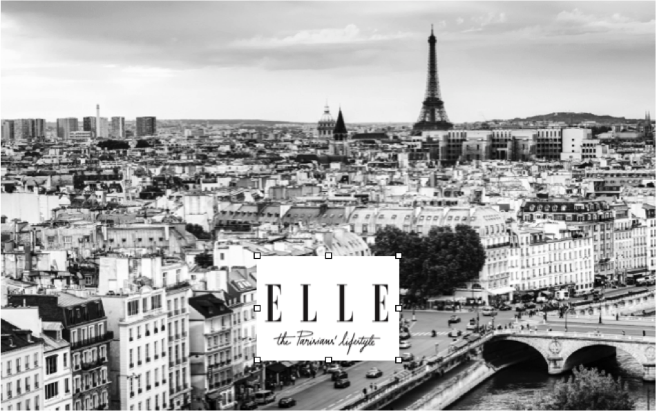 ELLE banner.png