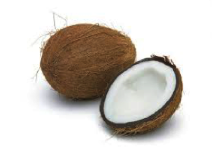 coco.png